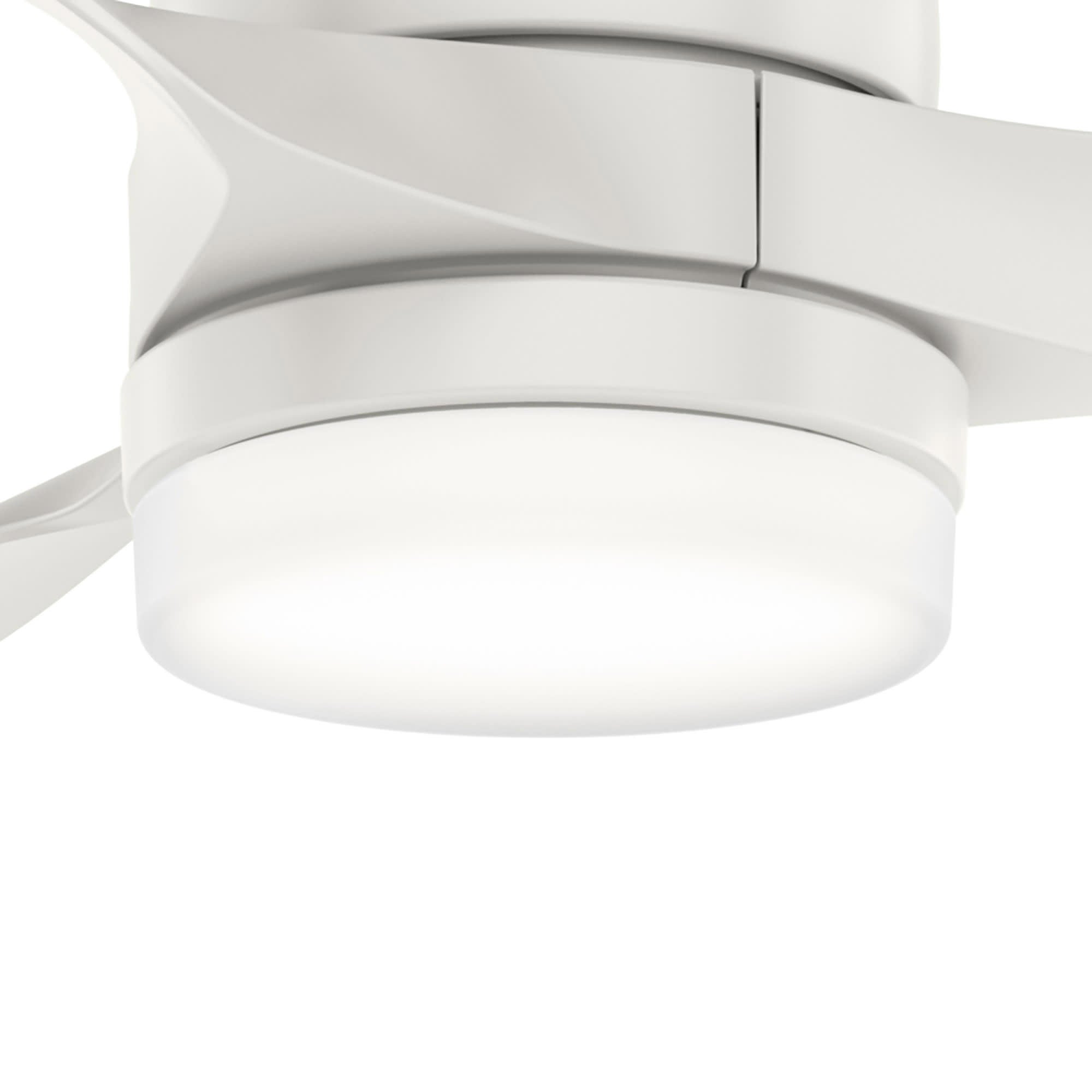 Hunter Trielle 52" Indoor/Outdoor Ceiling Fan
