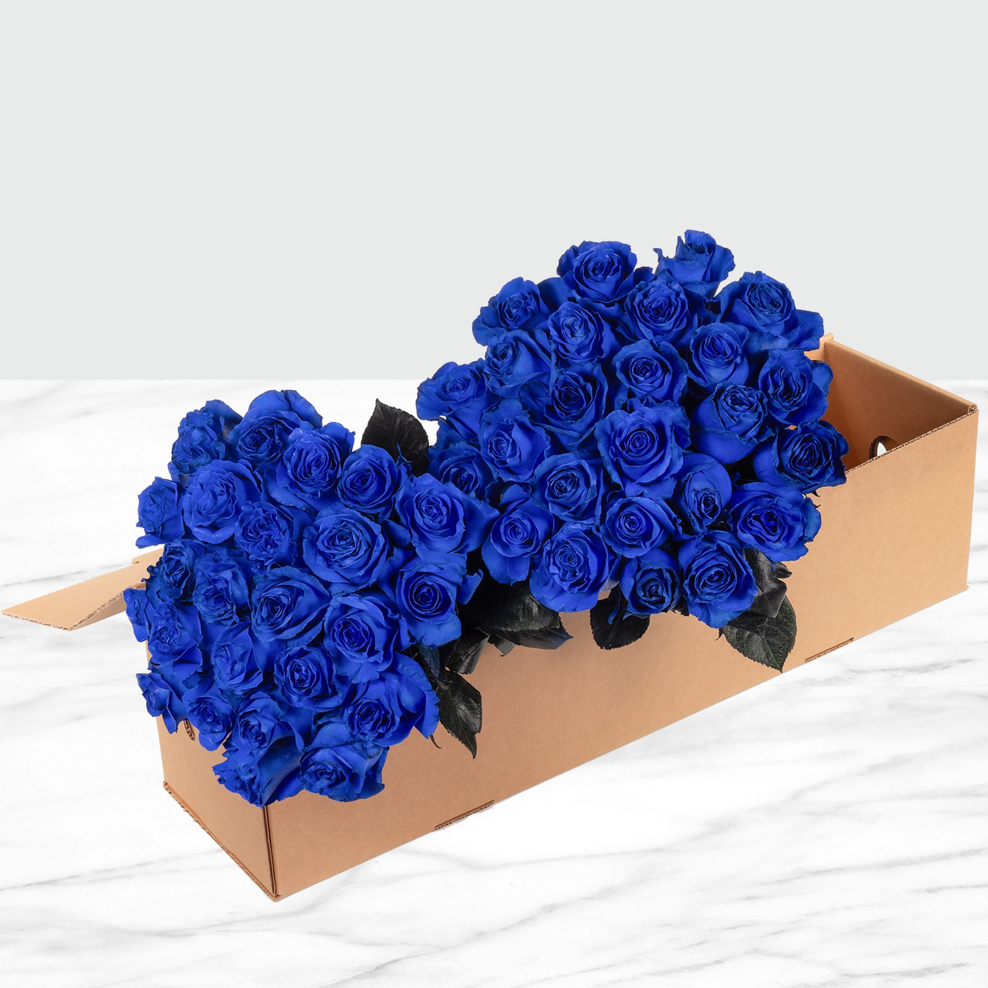 50-stem Blue Roses