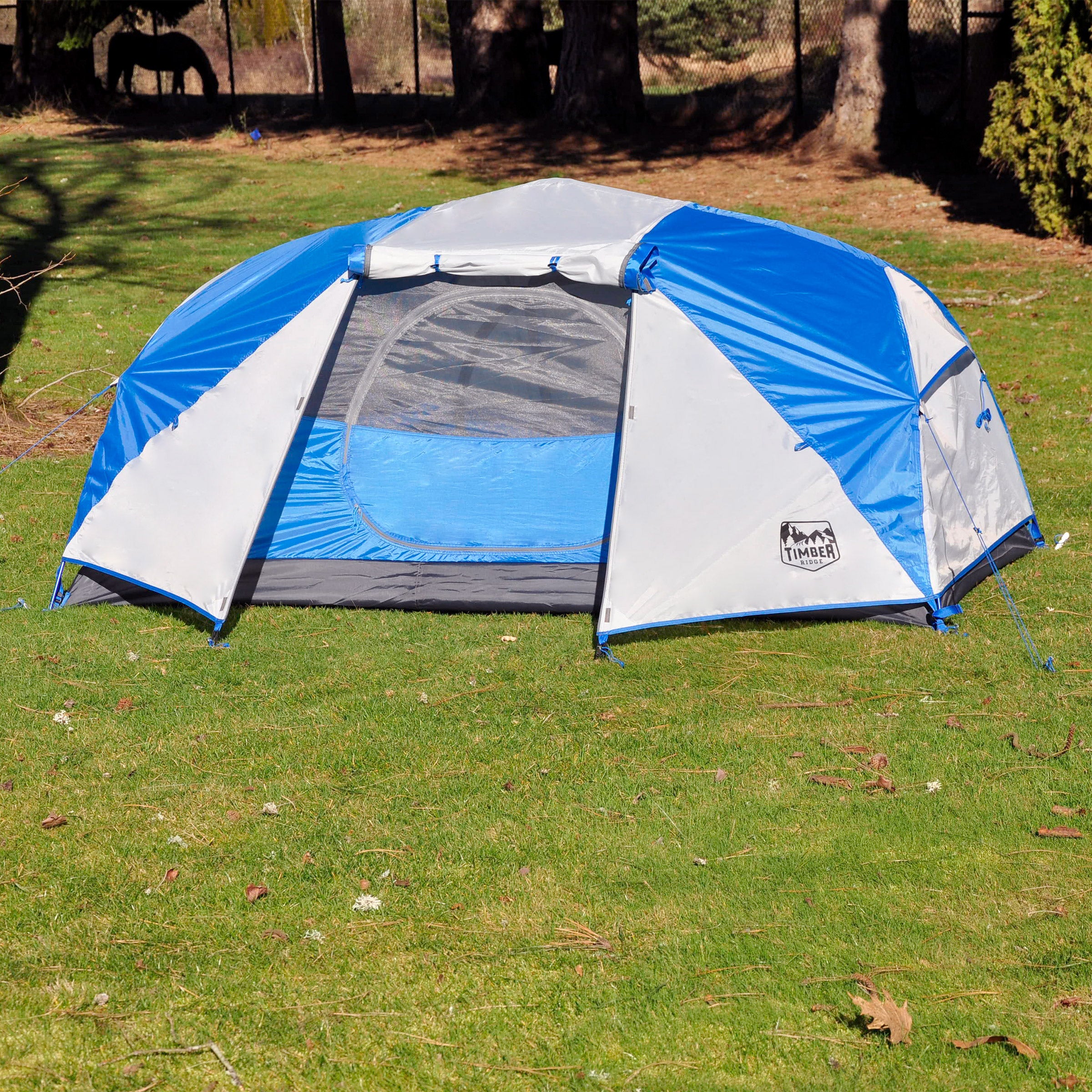 Timber Ridge 2-person Backpacking Tent