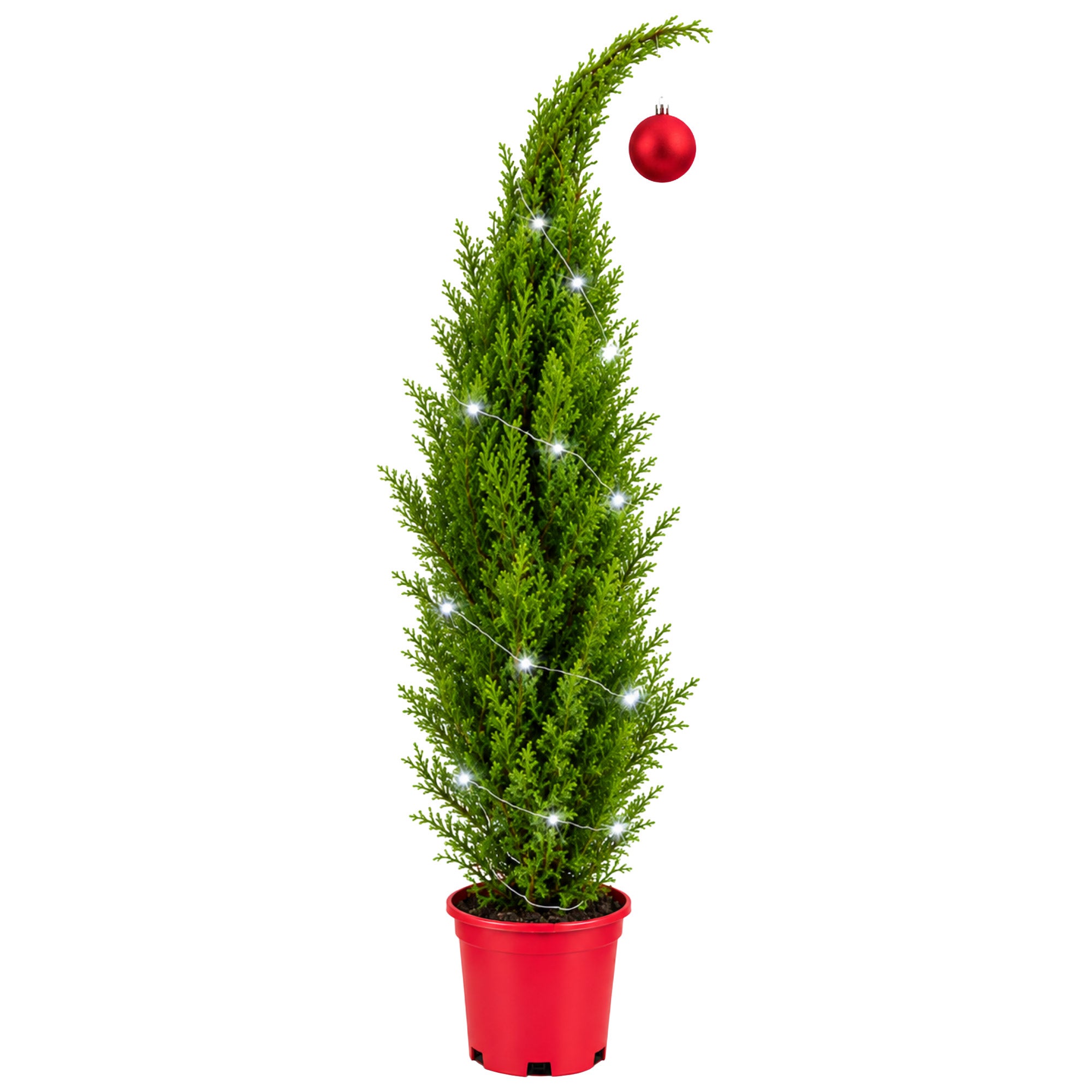 The Whimsical Holiday Tree