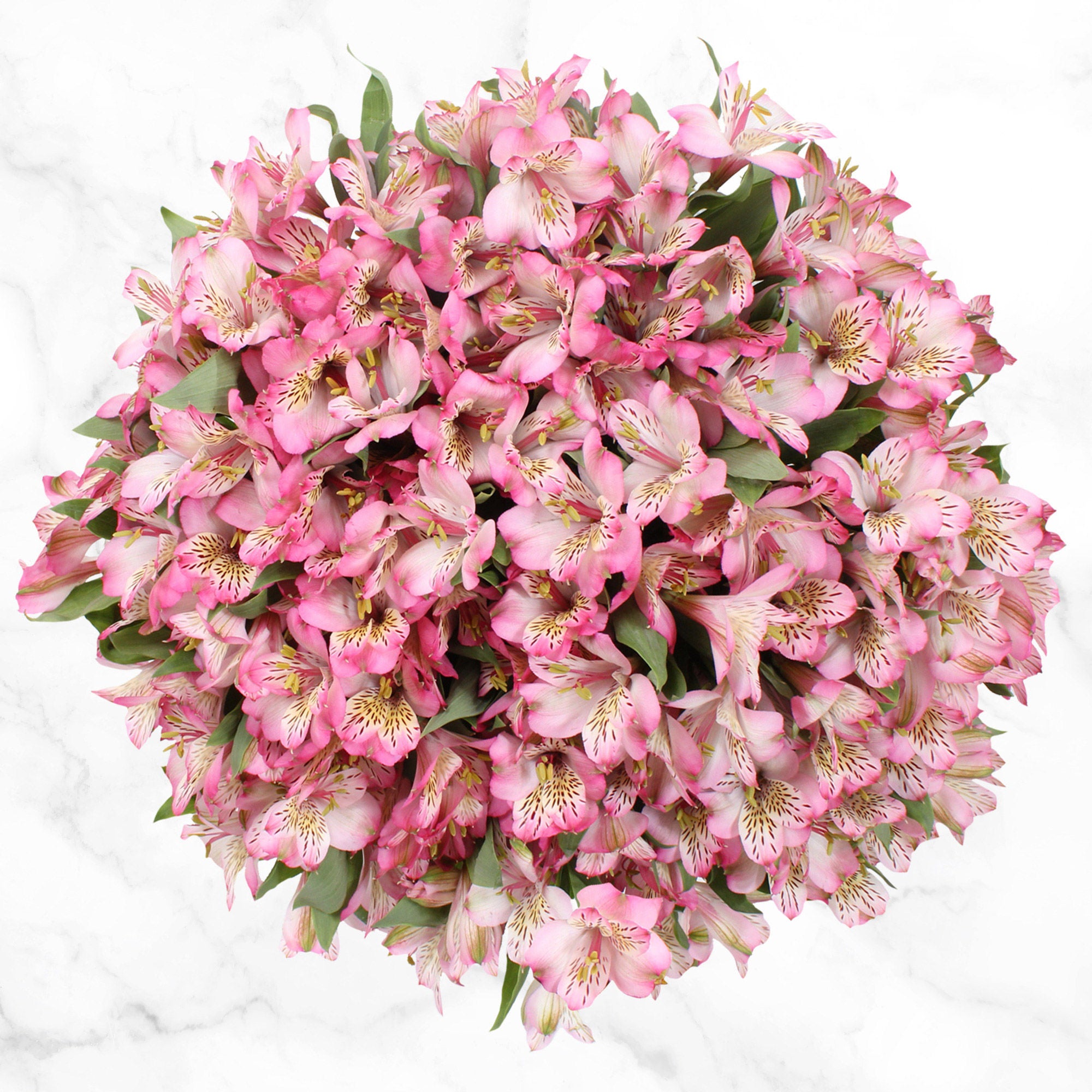 80-stem Alstroemeria