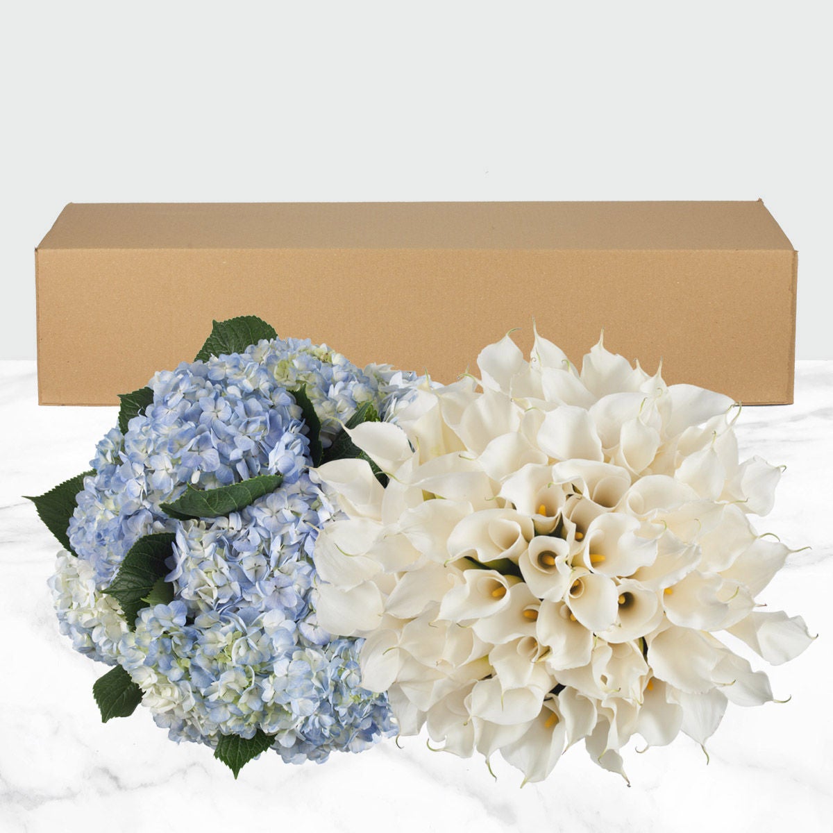 40-stem Calla Lilies and 20-stem Hydrangea