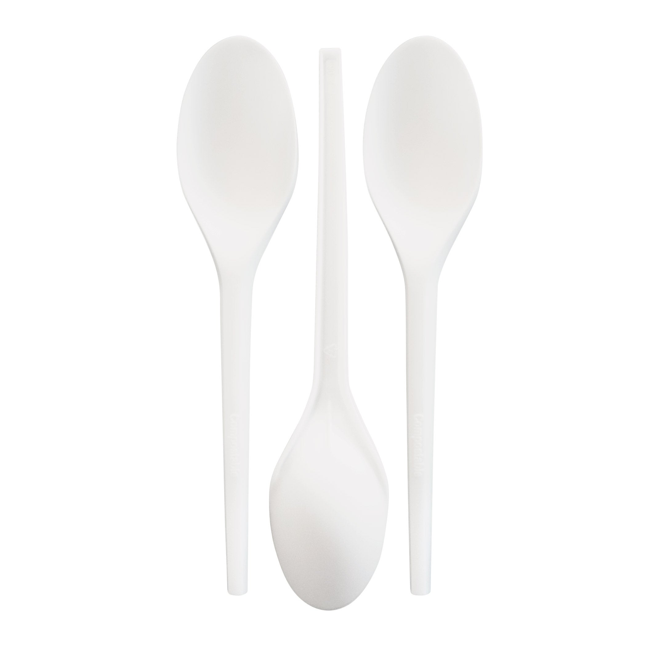 Eco Raj Compostable Spoon, 1,000-count