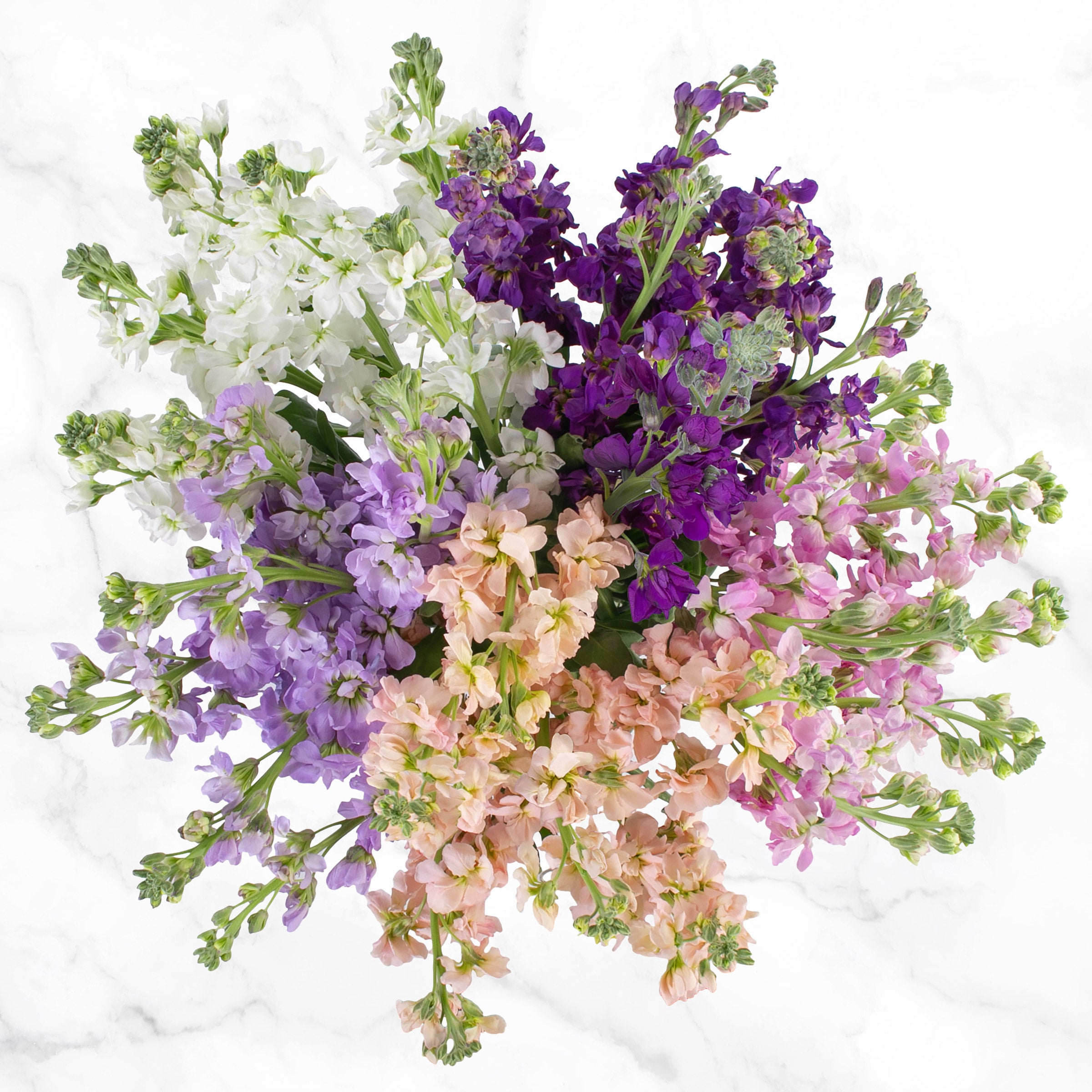 Bulk Flowers Stock, 100-Stems