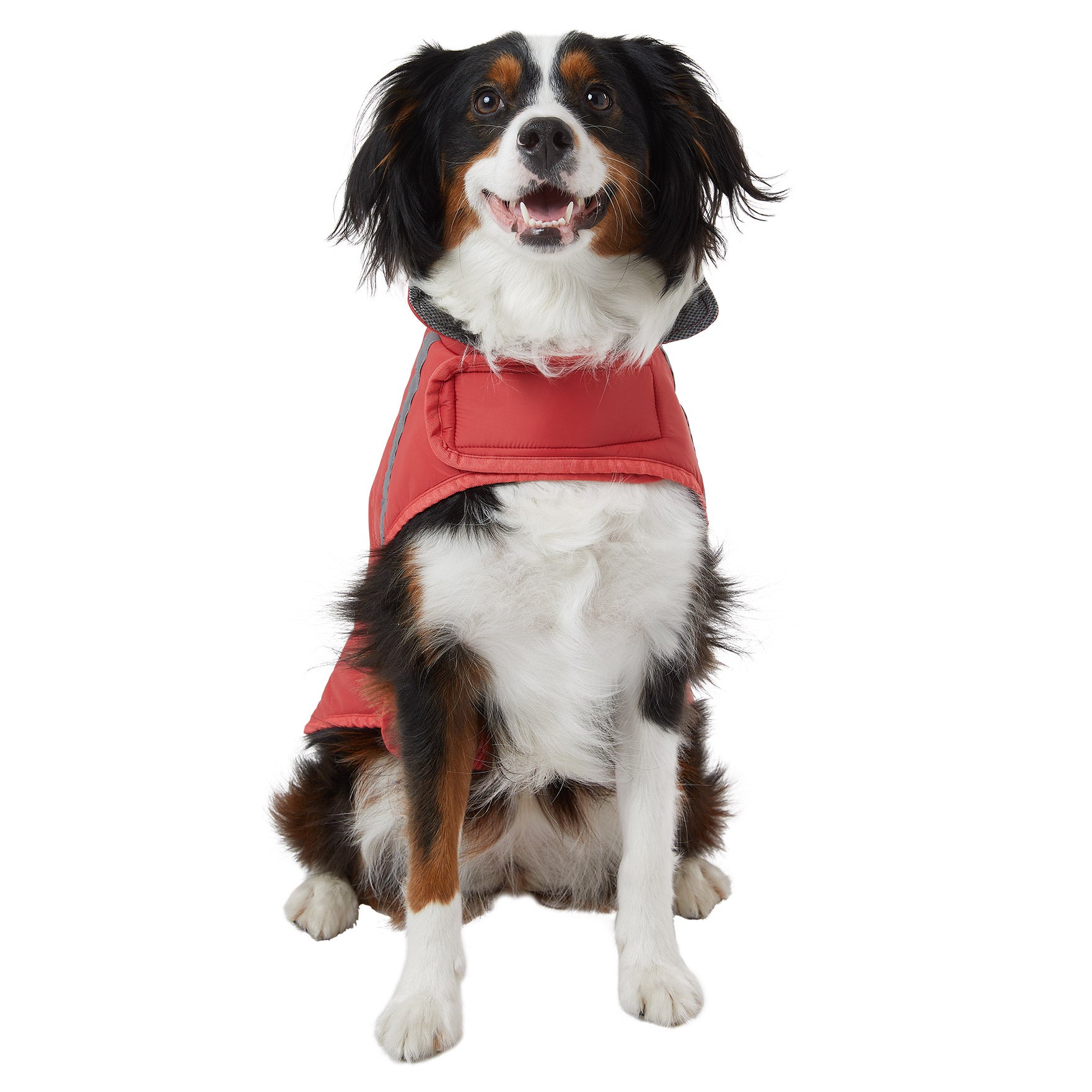 32 Degrees Dog Jacket