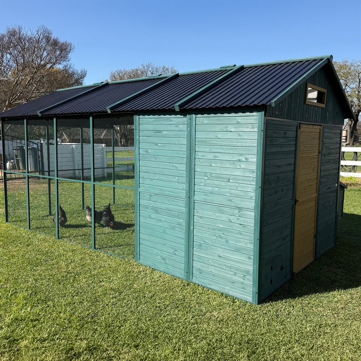 Zylina Modern Ultraguard XL Metal Framed Chicken Coop