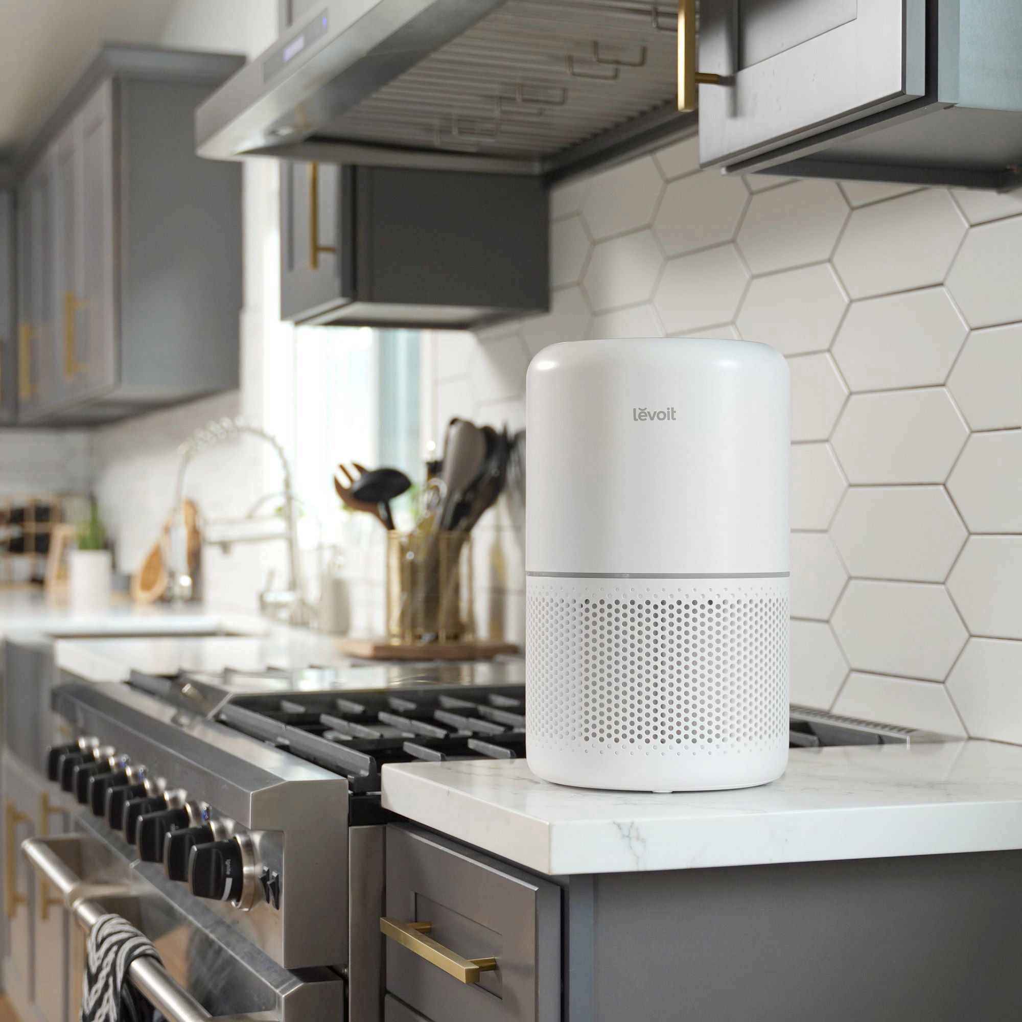 Levoit Plasma Pro Core 300S-P Smart Air Purifier with Extra Filter Bundle