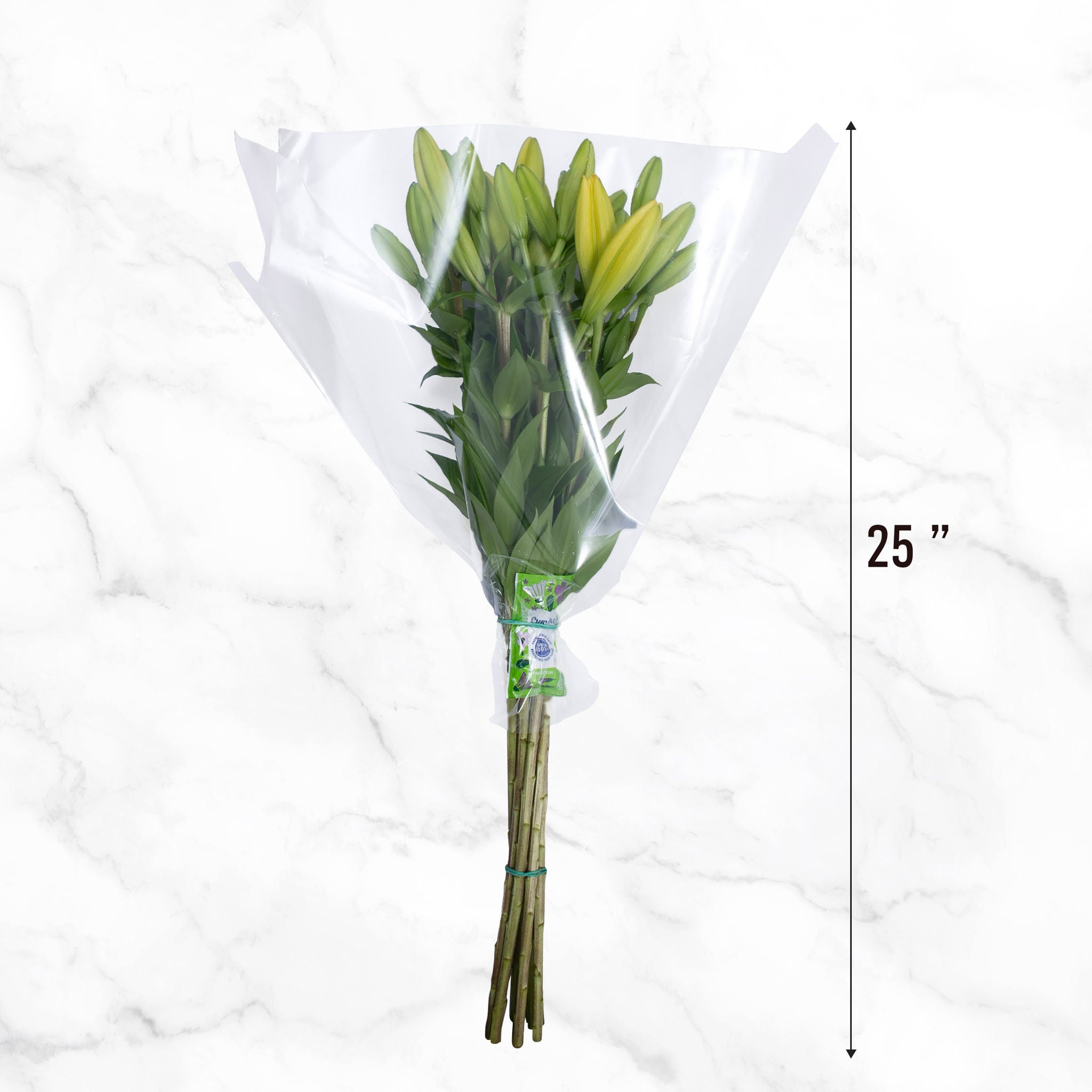 40-stem Asiatic Lilies