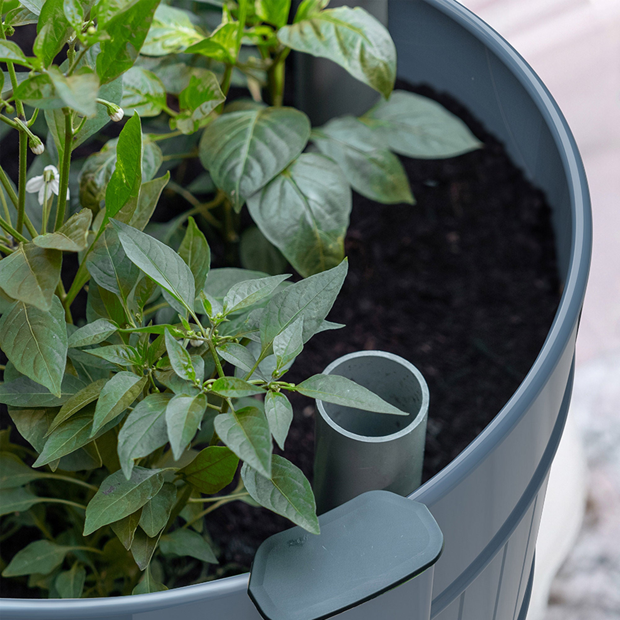 Permasteel Elevated Garden Bed With Casters