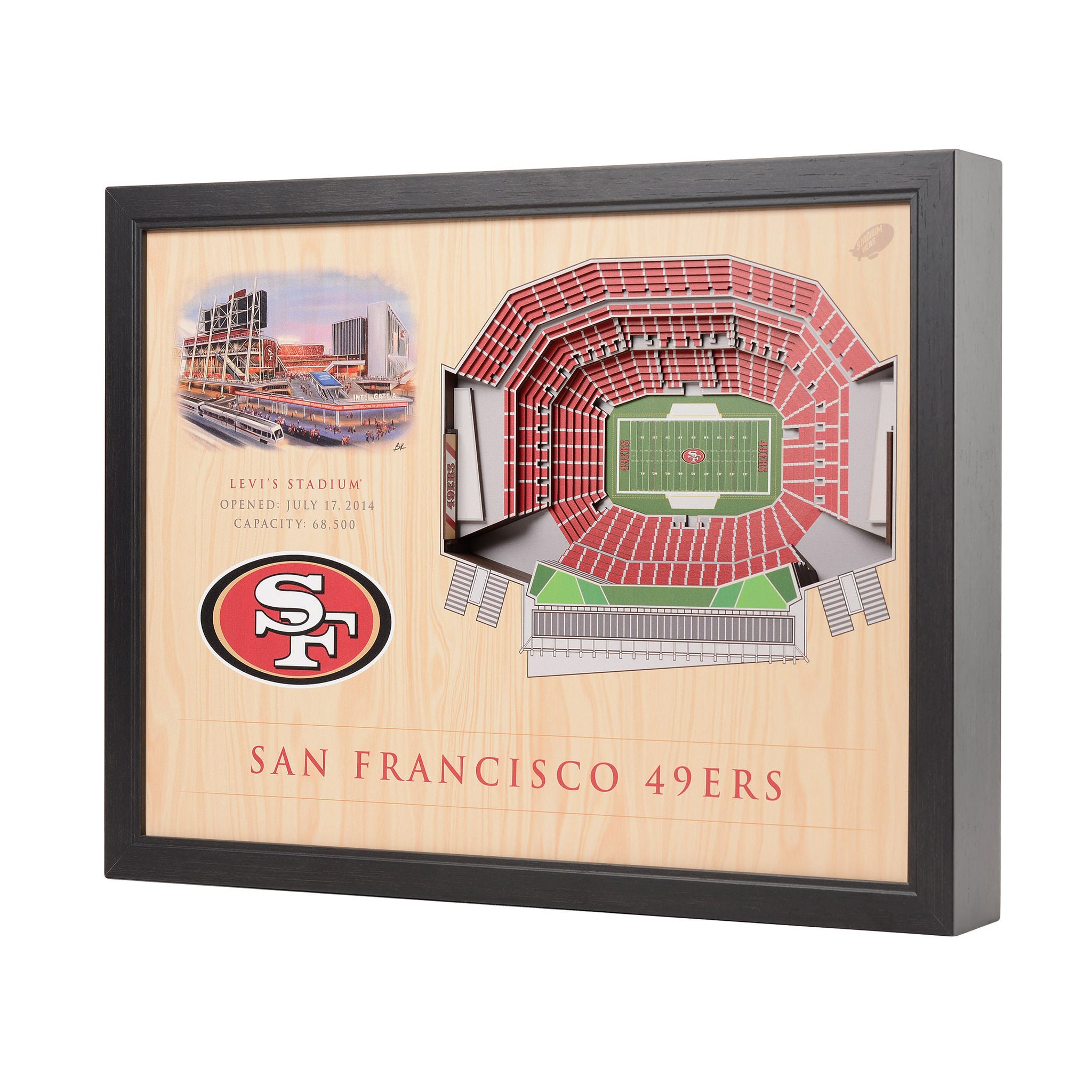 NFL 25-layer Stadium View Wall Art