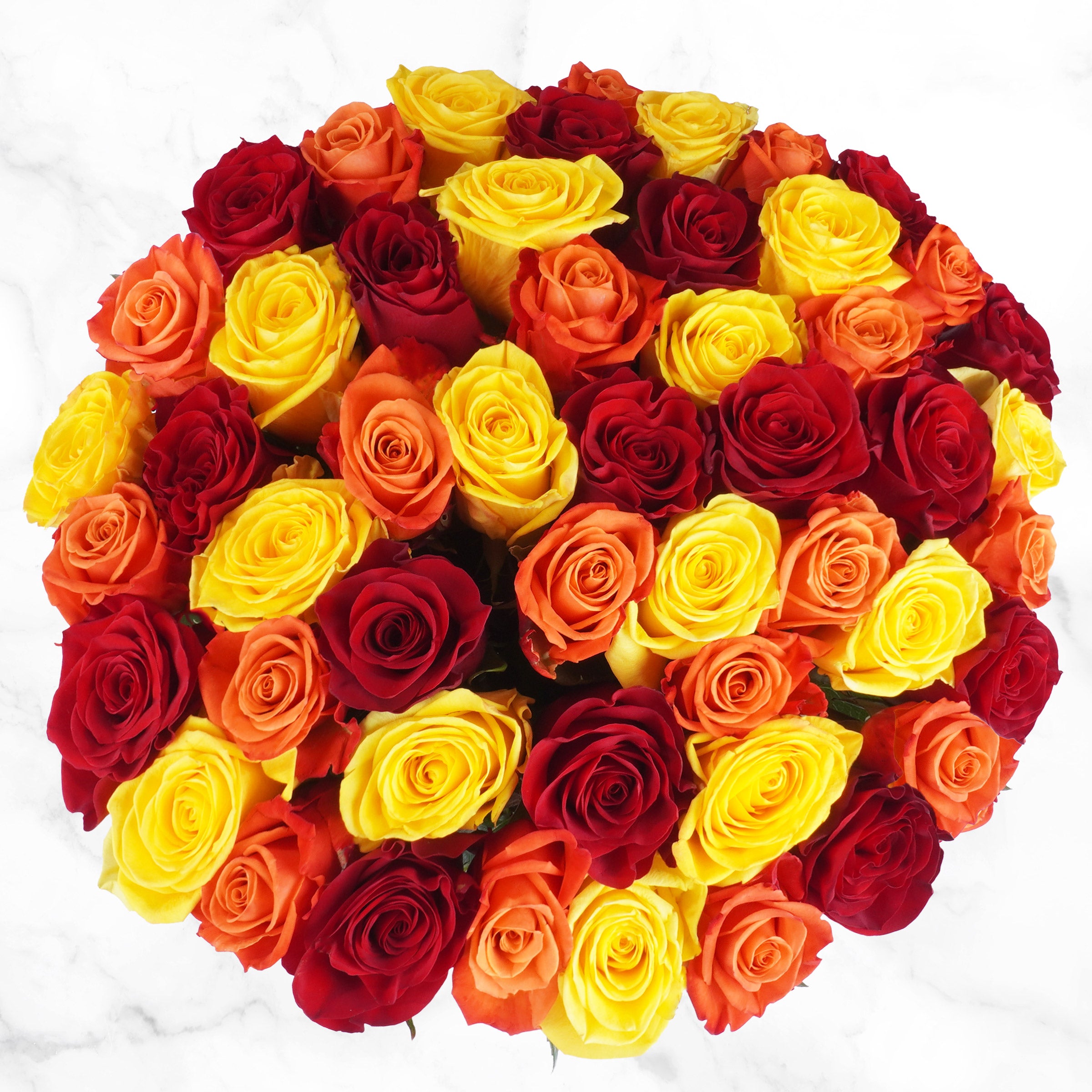 50-stem Fall Roses