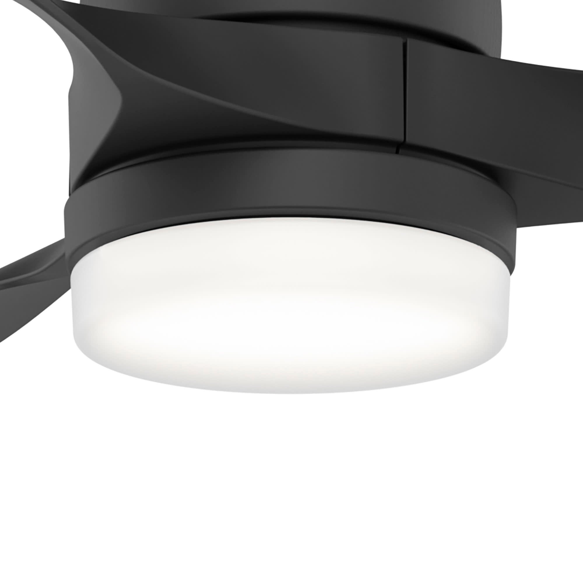 Hunter Trielle 52" Indoor/Outdoor Ceiling Fan