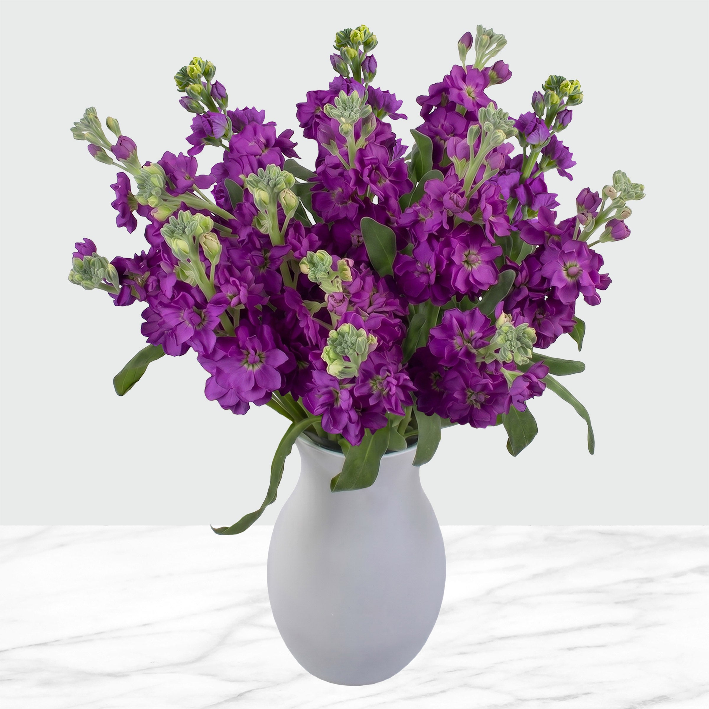Bulk Flowers Stock, 100-Stems