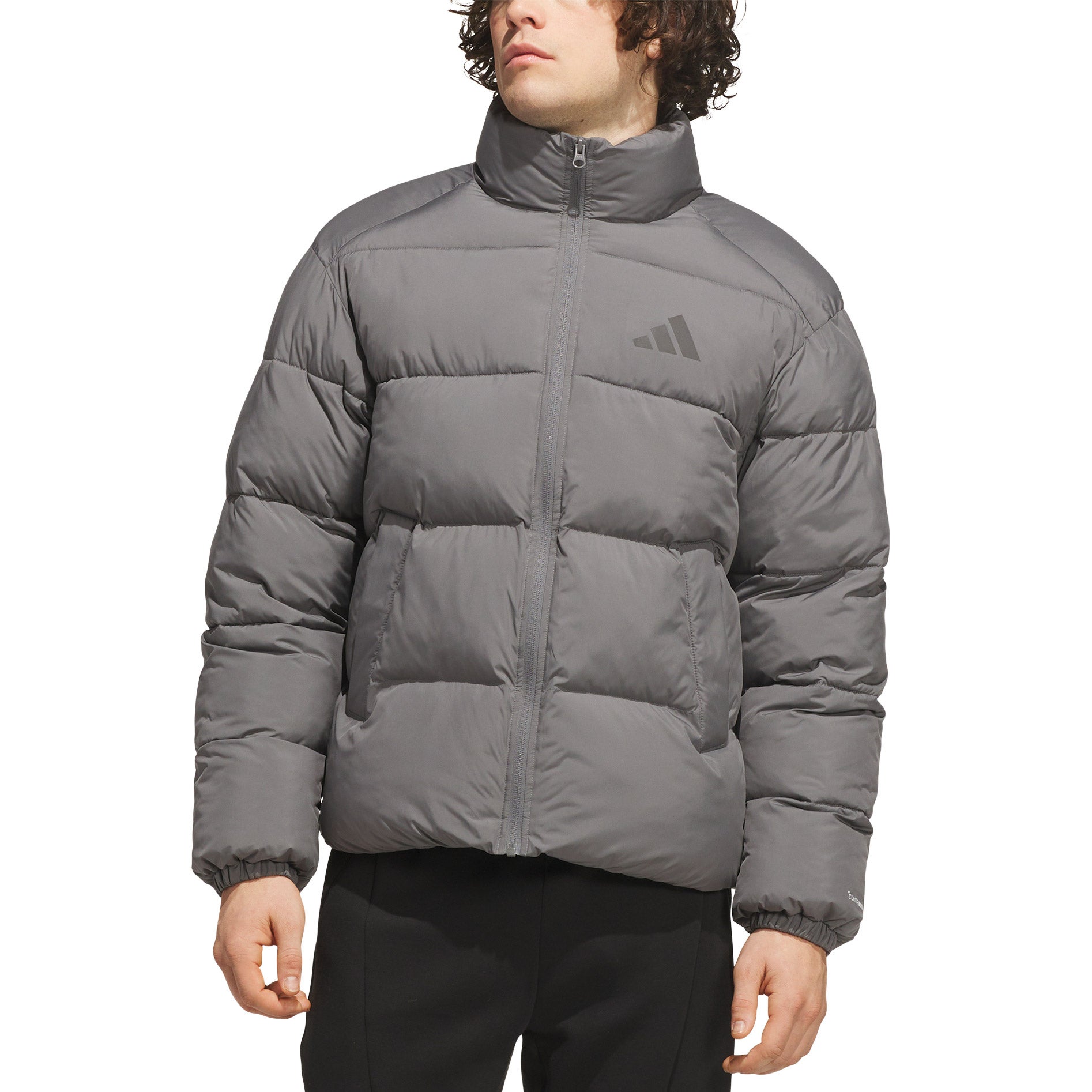 adidas Men's Terrex Puffer Jacket