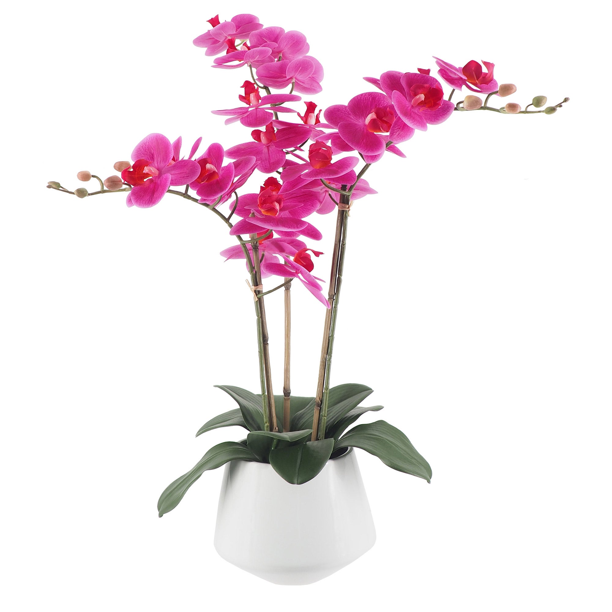 Faux Orchid