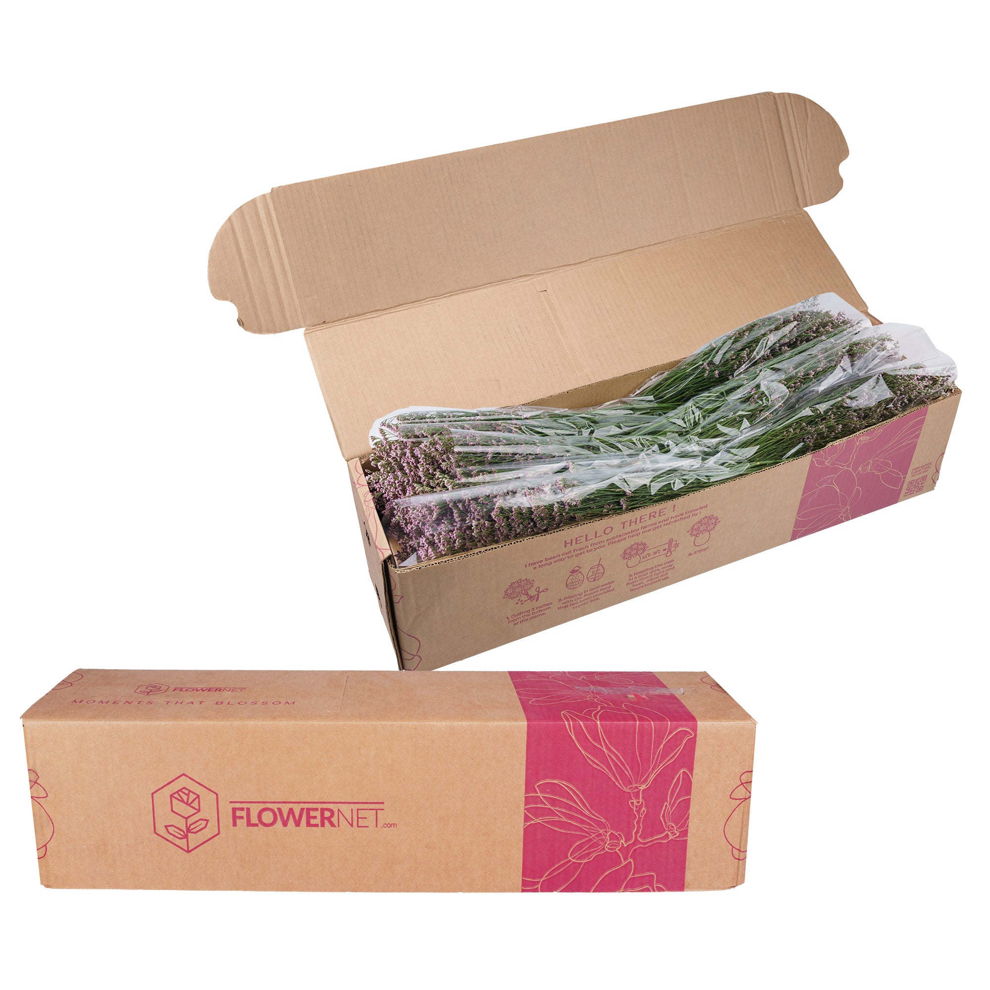 100-Stems Limonium