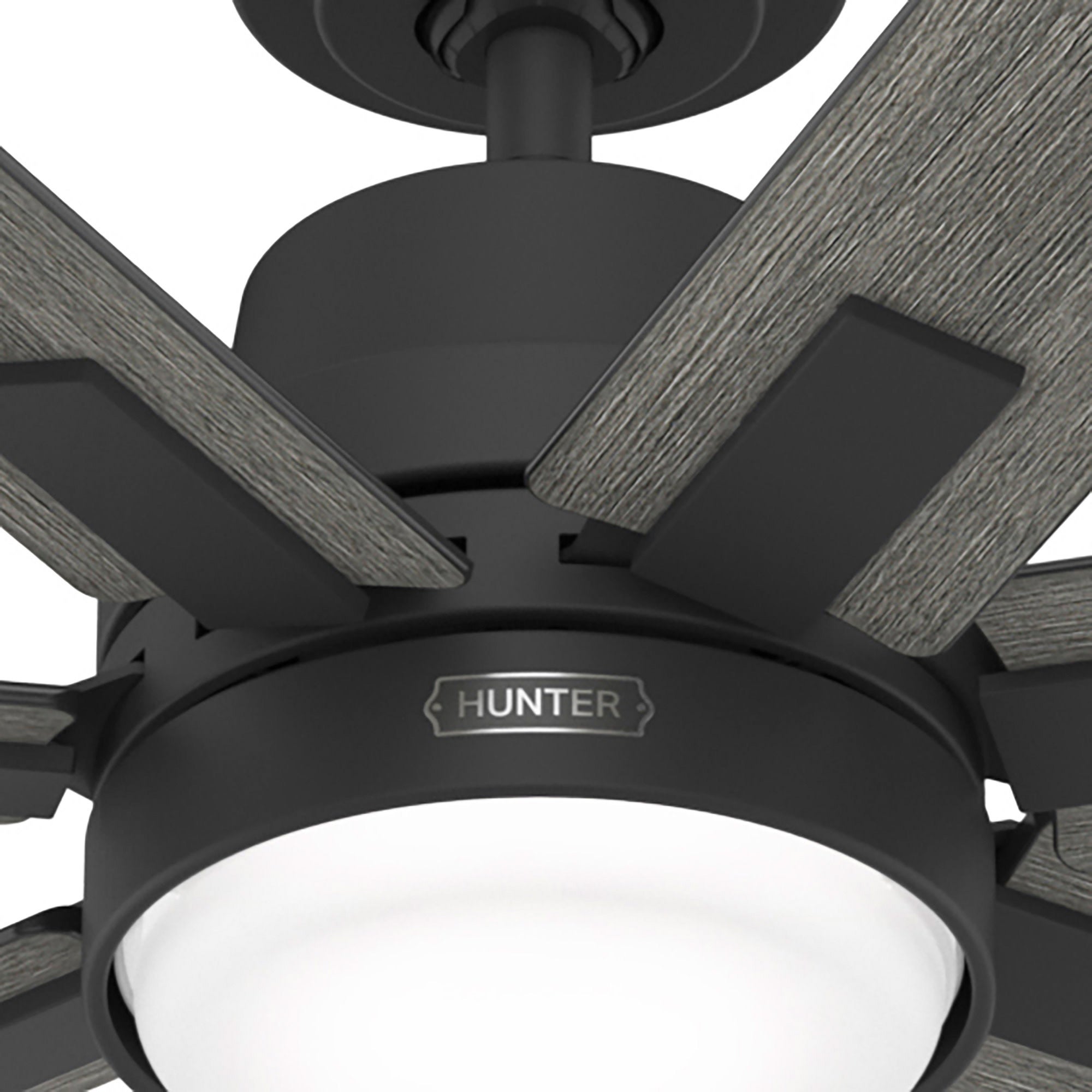 Hunter Loflin Great Room Ceiling Fan with LED Light