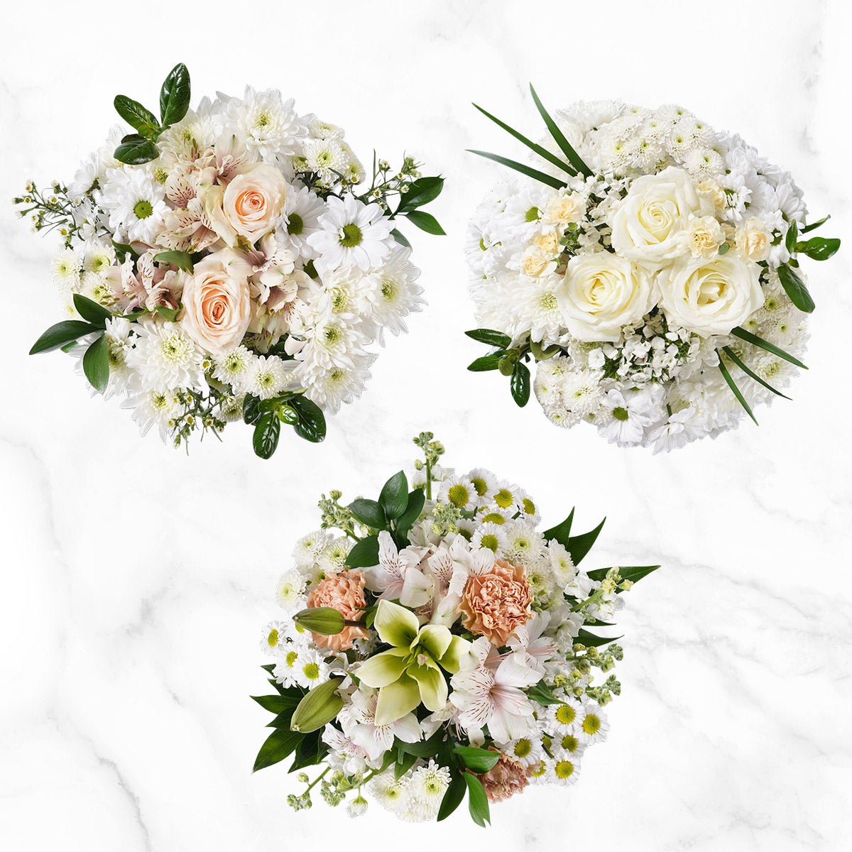 Mountain Bouquet Event Collection, 10-count