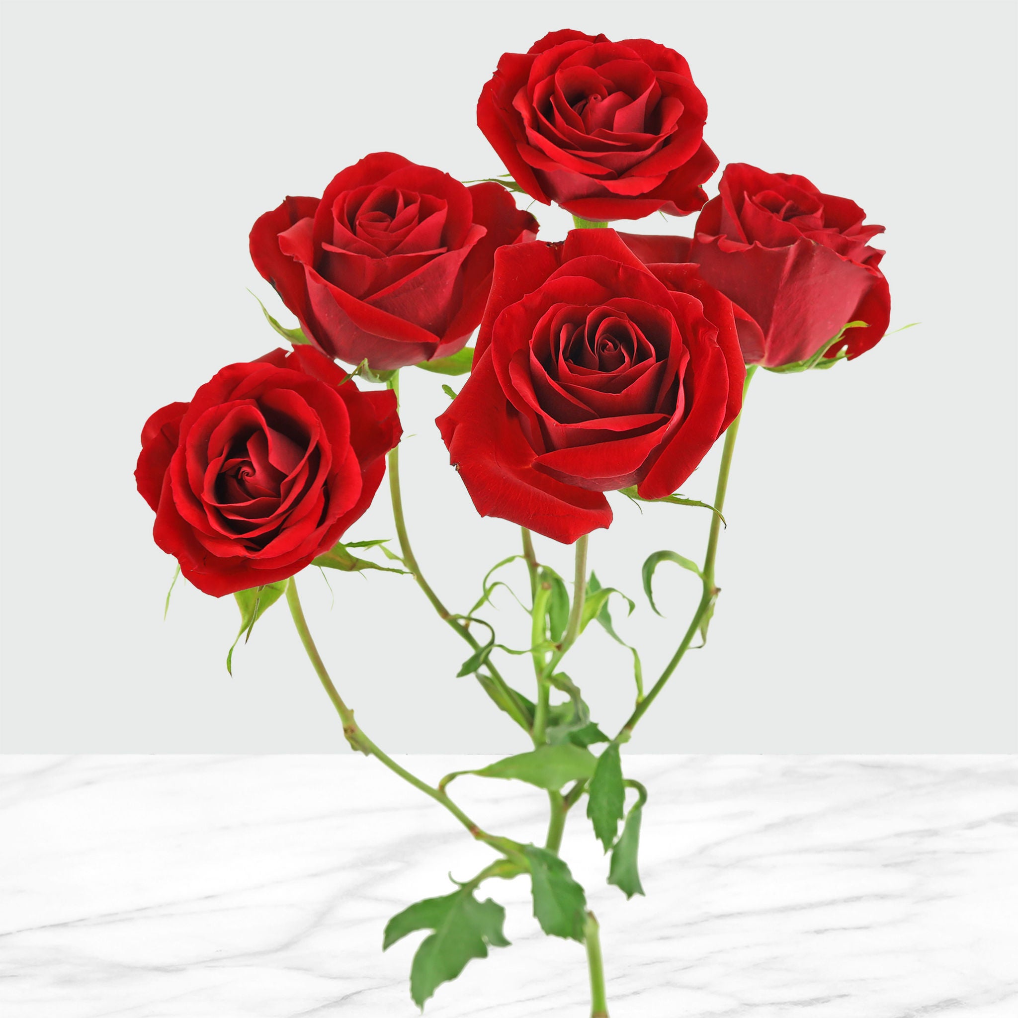 50-stem Spray Roses