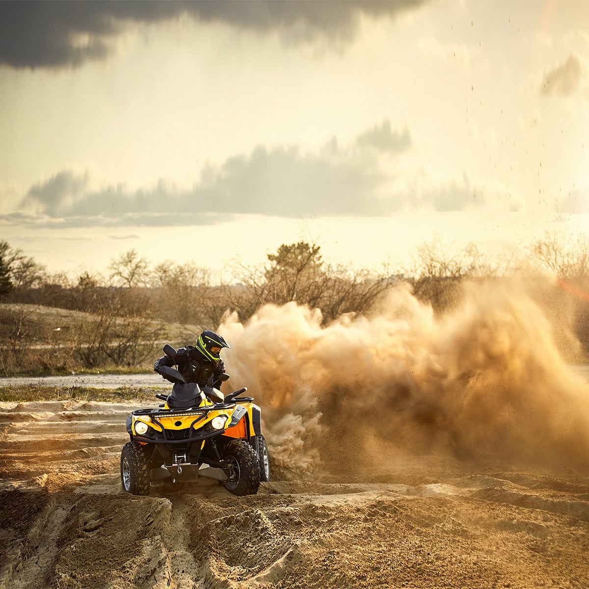 Interstate Batteries Powersport AGM Battery FAYIX30L