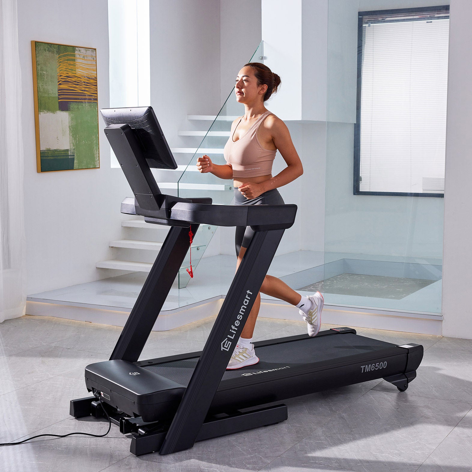 Lifesmart TM6500 PowerTouch Treadmill