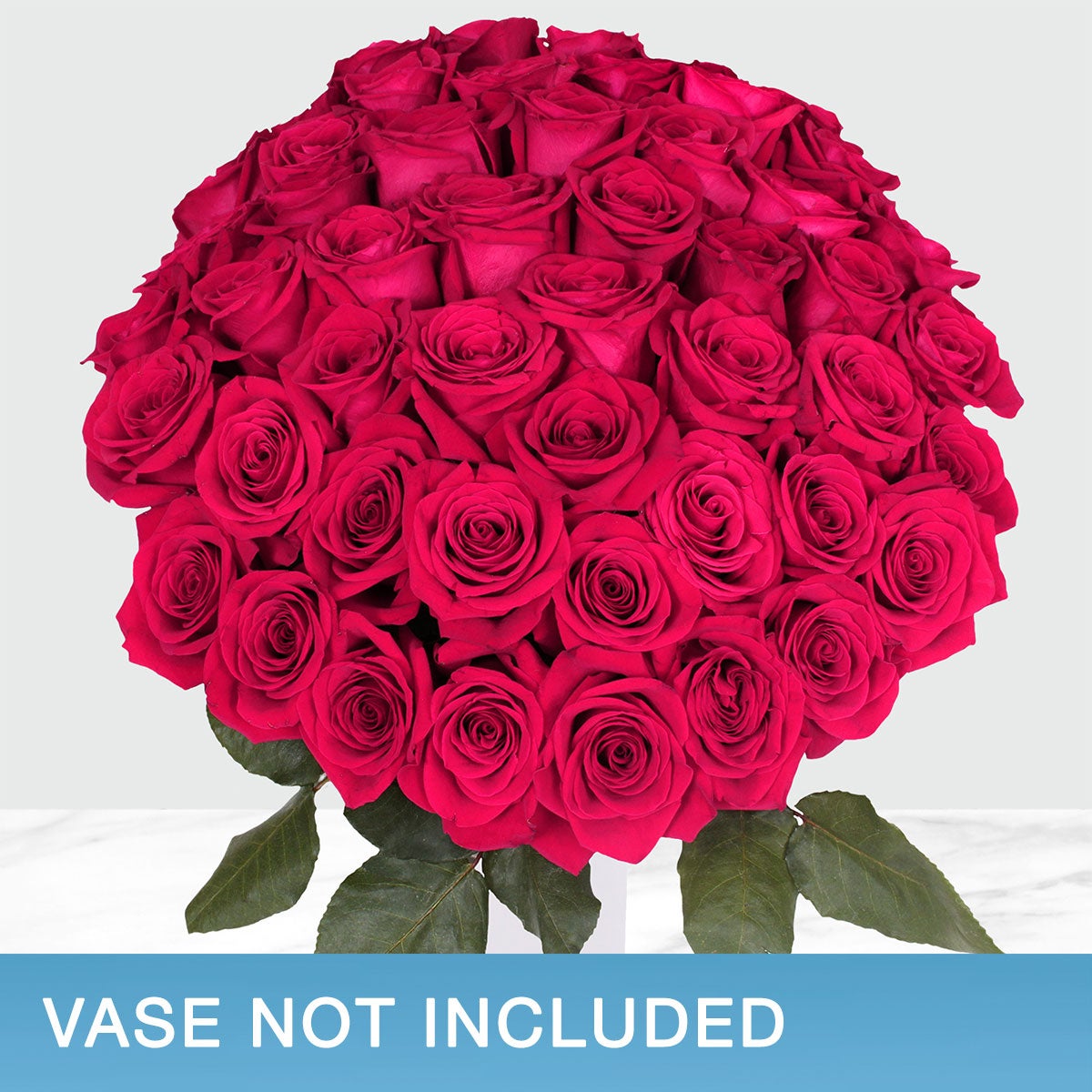 50-stem Hot Pink Roses