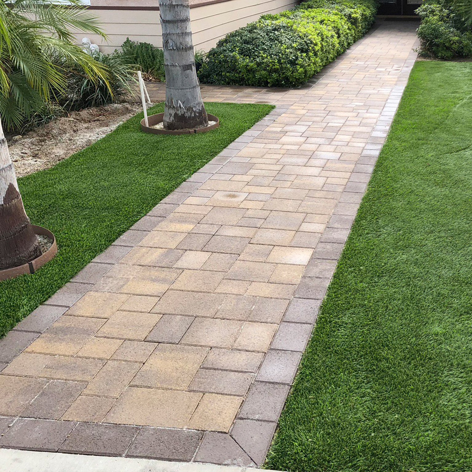 Pregra 56 oz Artificial Turf