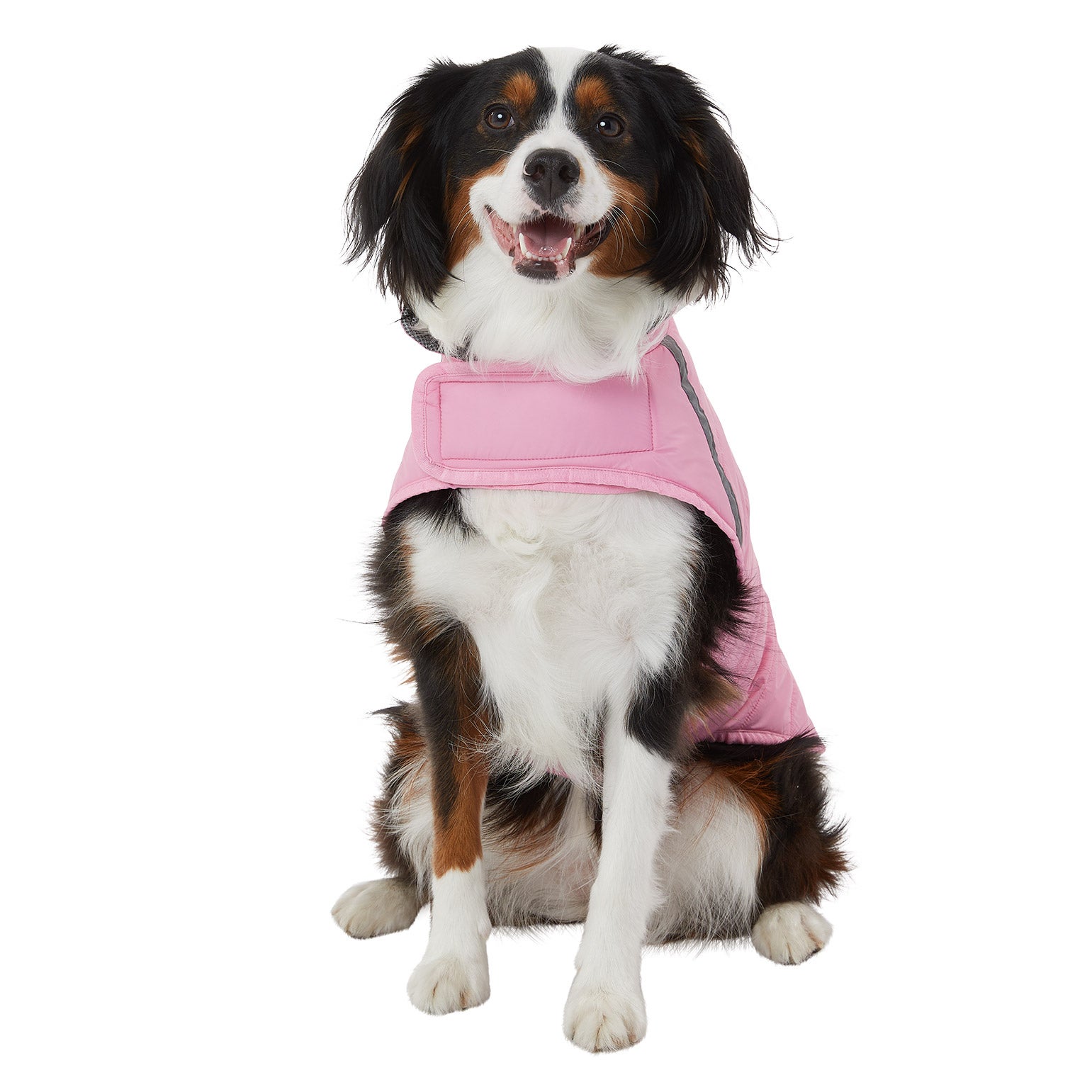 32 Degrees Dog Jacket