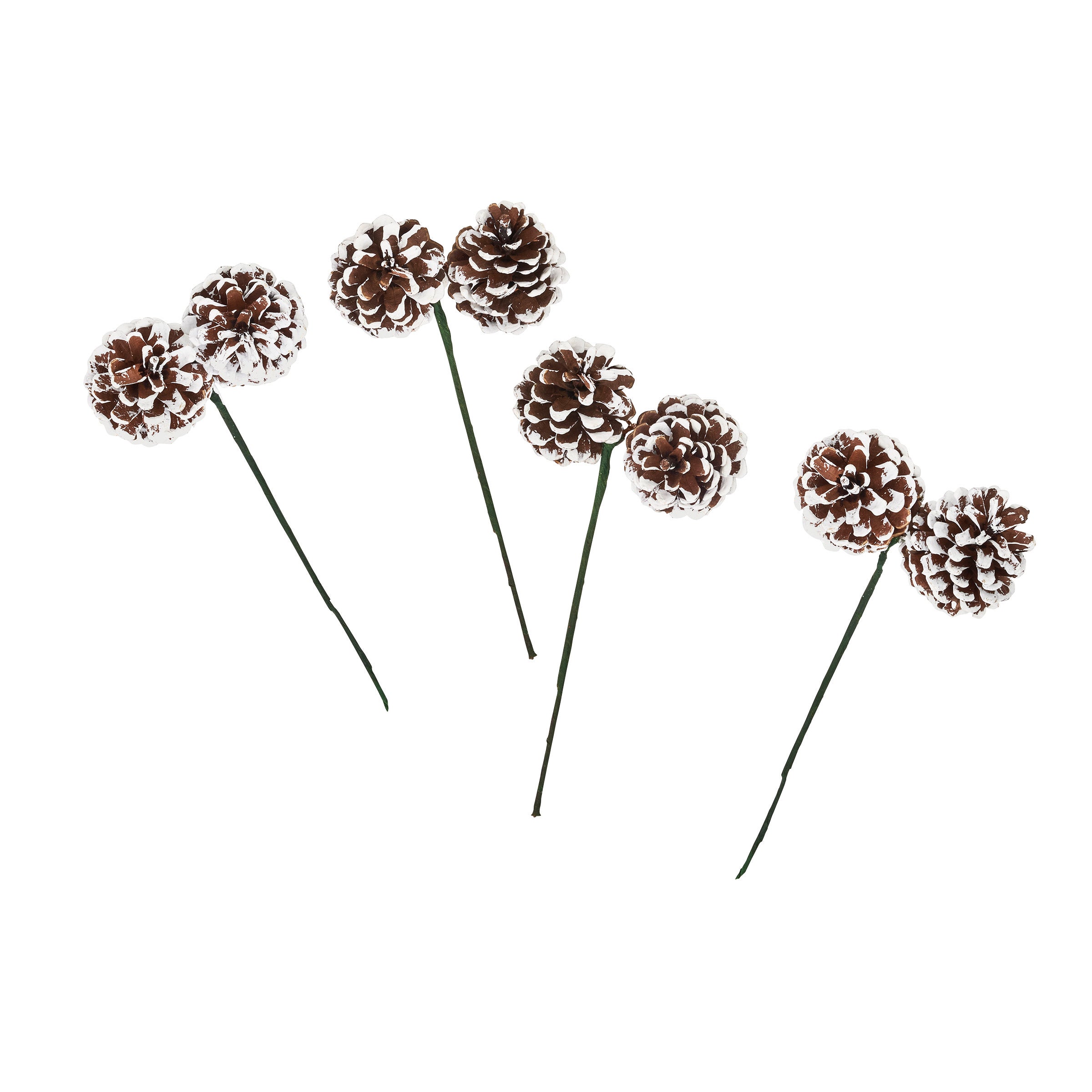 DIY Fresh Wreaths 2-Pack