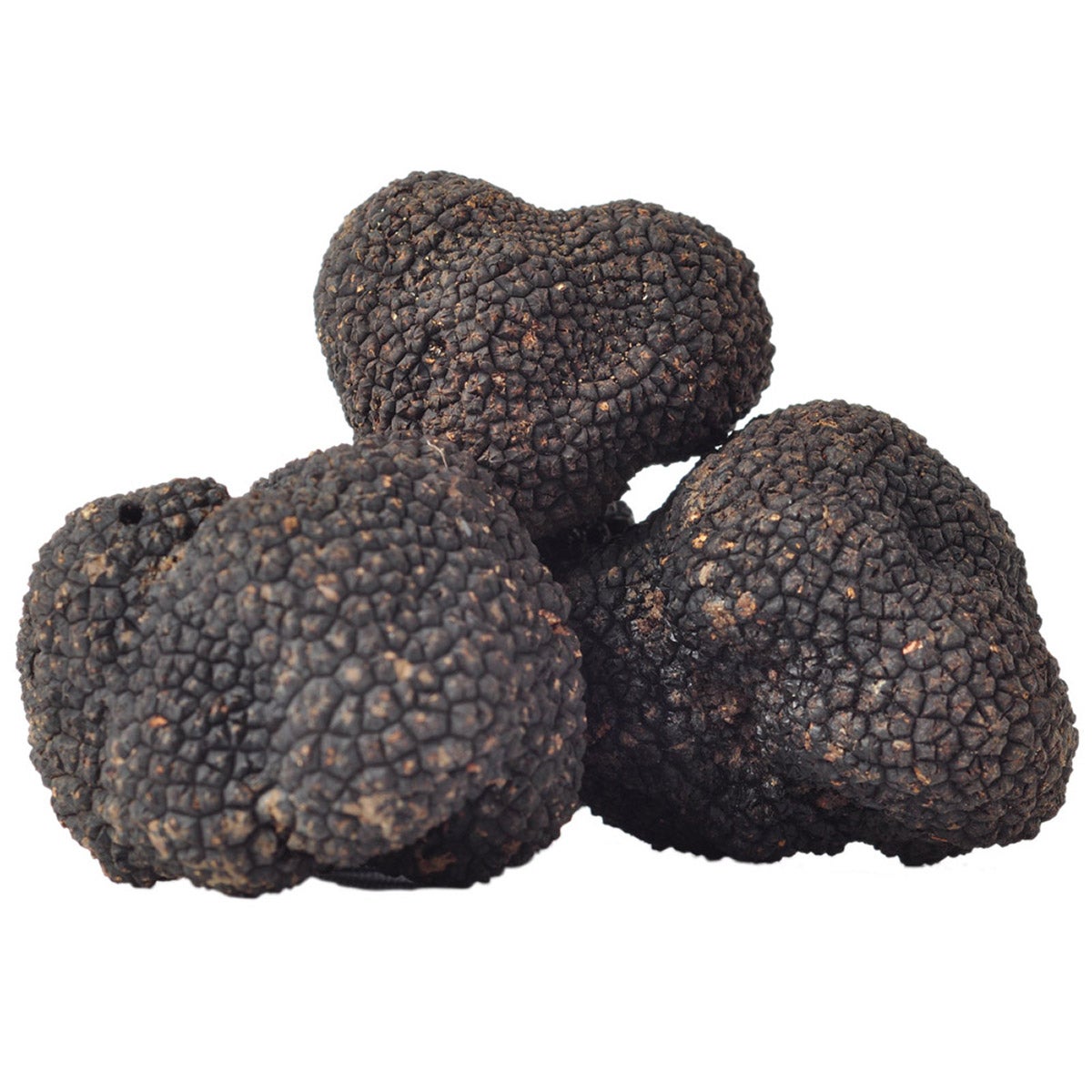 Fresh Summer Truffles 4 oz.