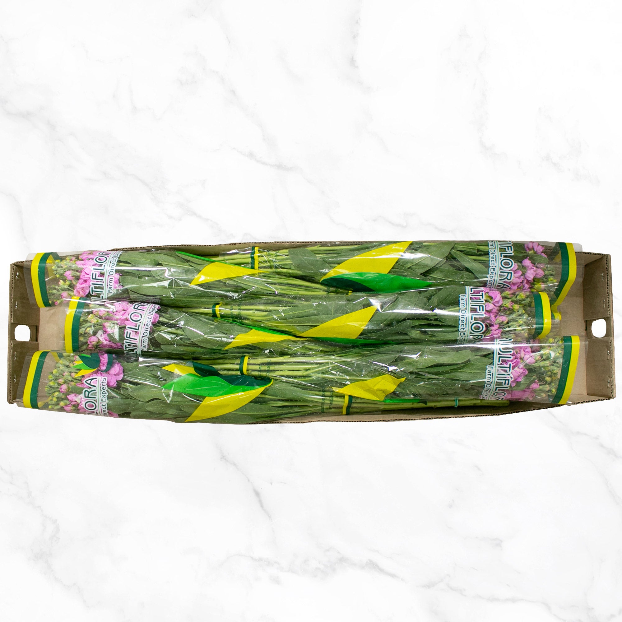 Bulk Flowers Stock, 100-Stems
