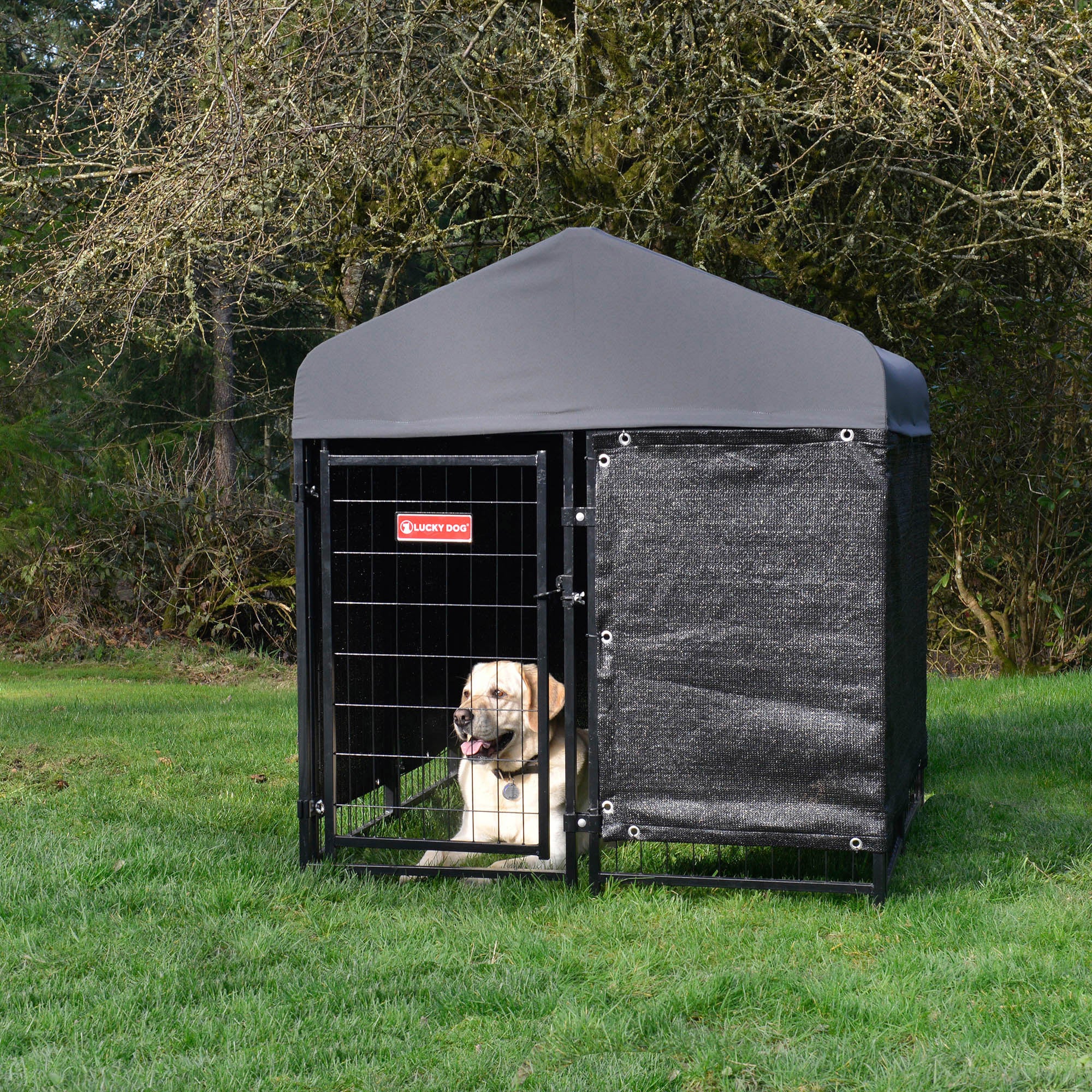 Lucky Dog STAY Series Studio Jr. Dog Kennel 4'x4' with Privacy Screen