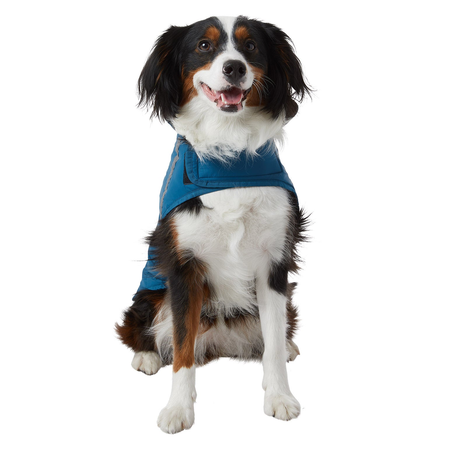 32 Degrees Dog Jacket
