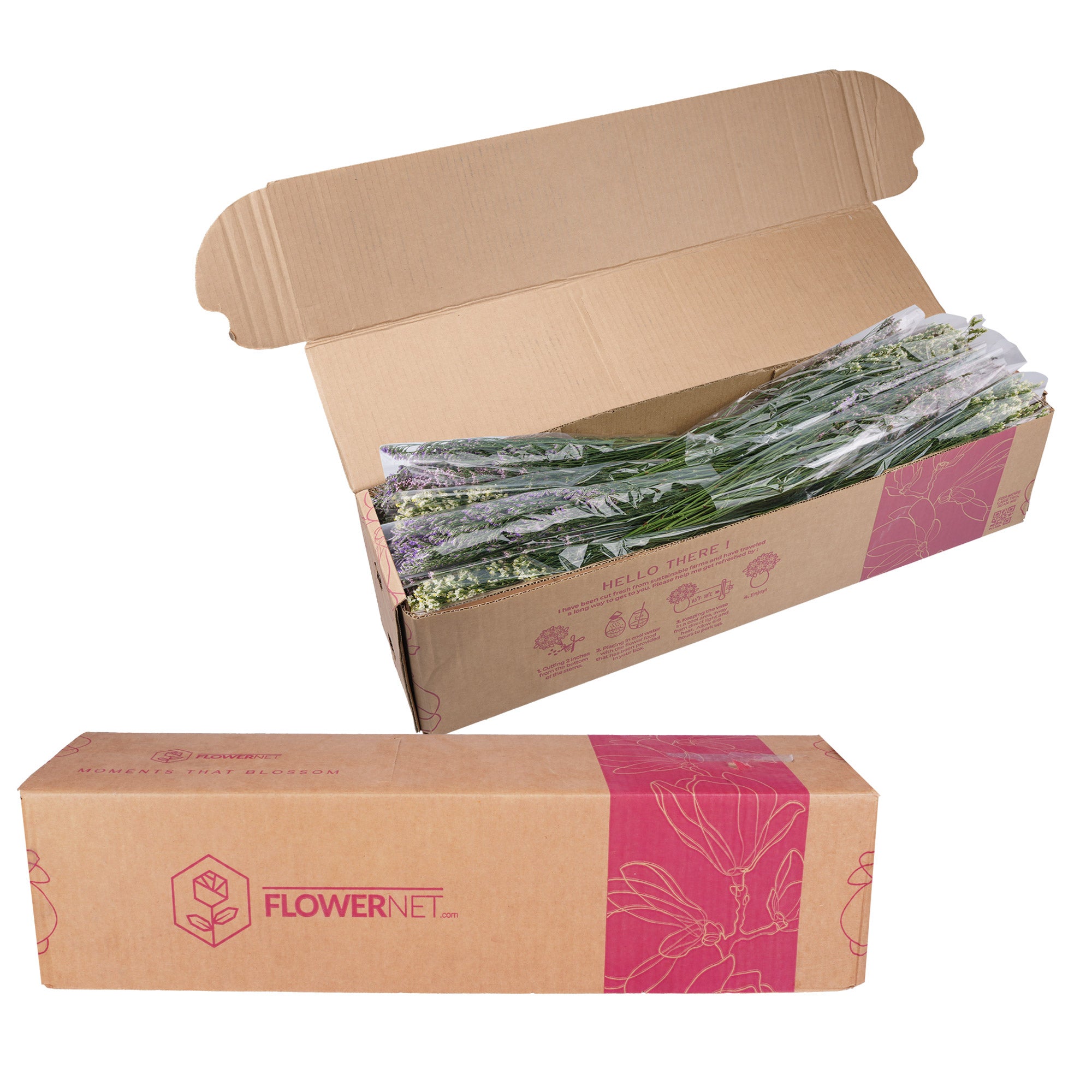 100-Stems Limonium