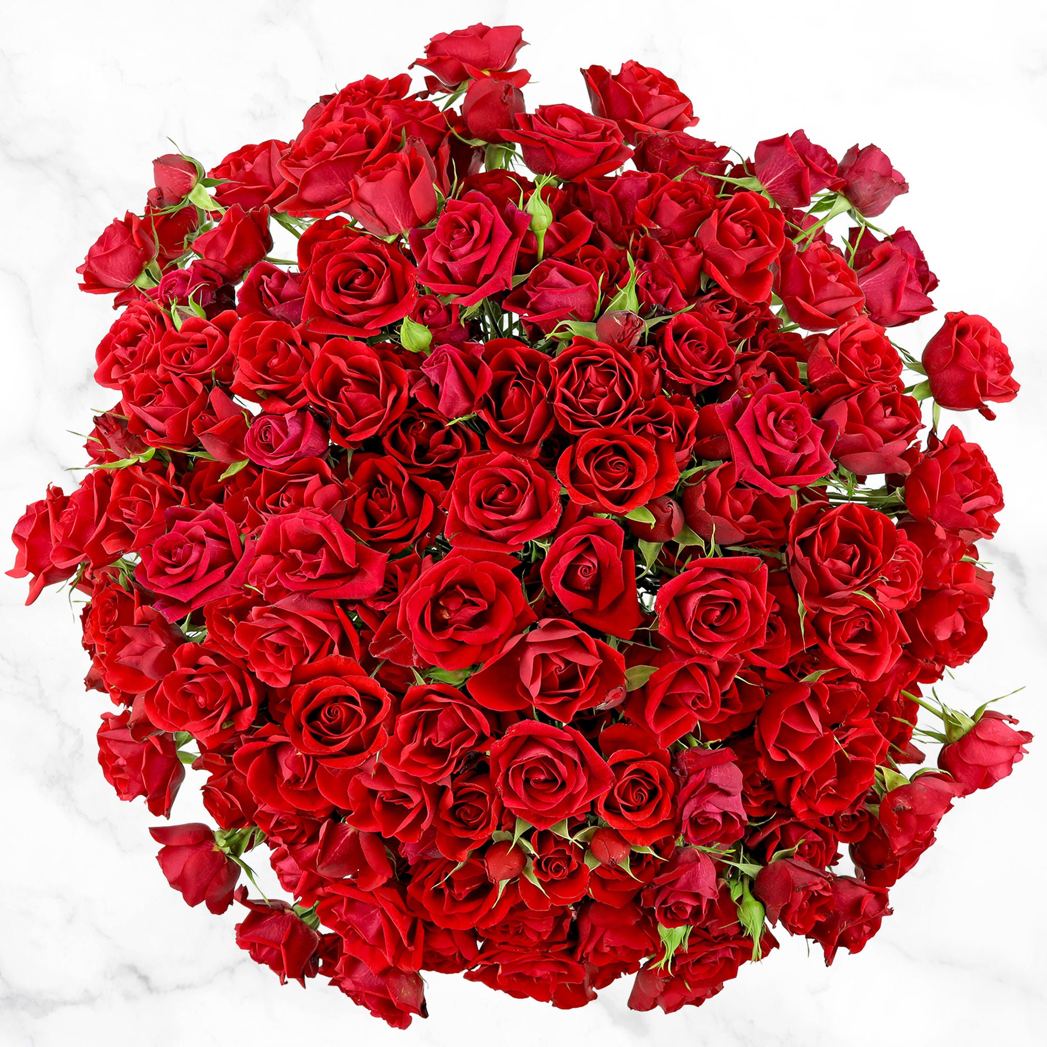 50-stem Spray Roses