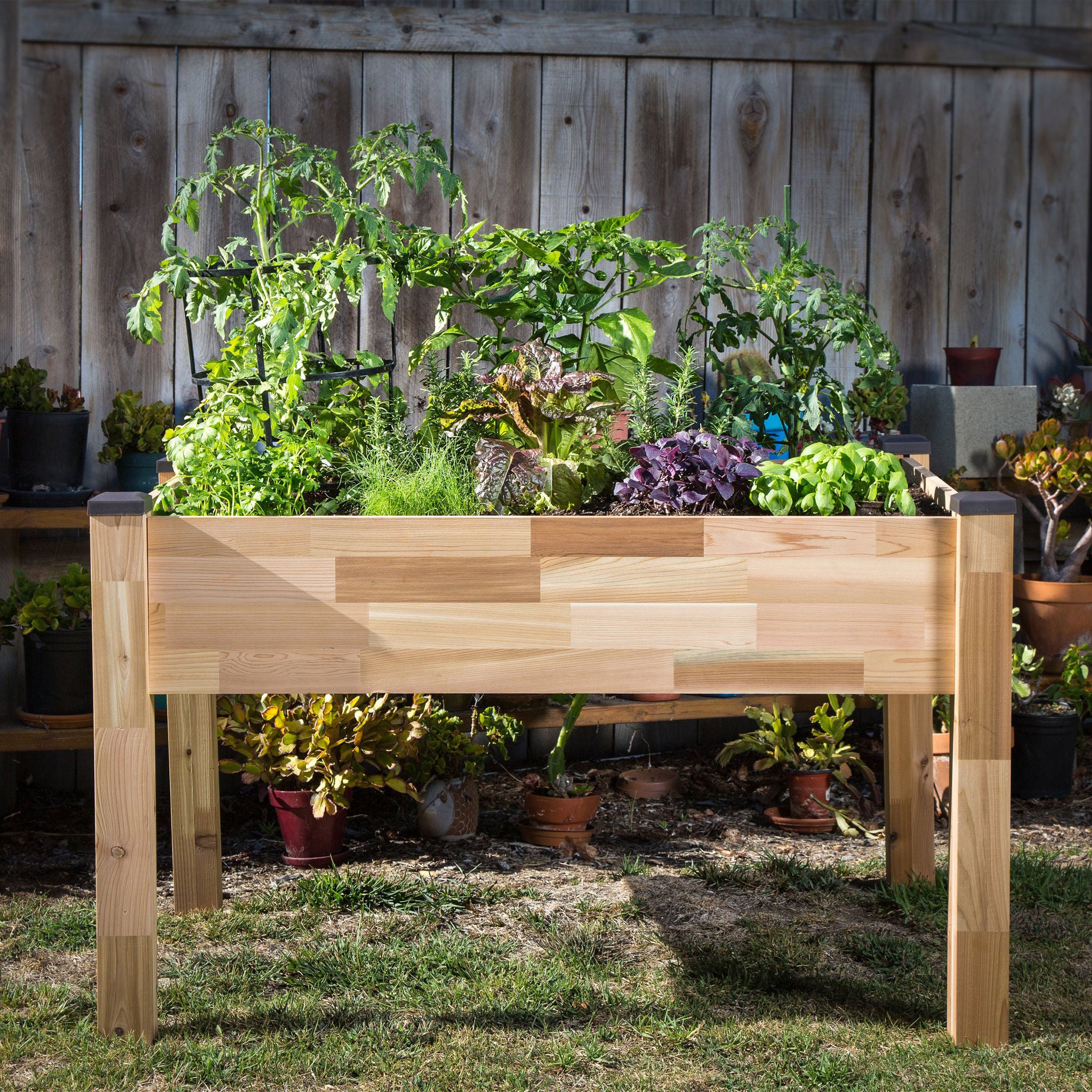 CedarCraft Elevated Cedar Planter