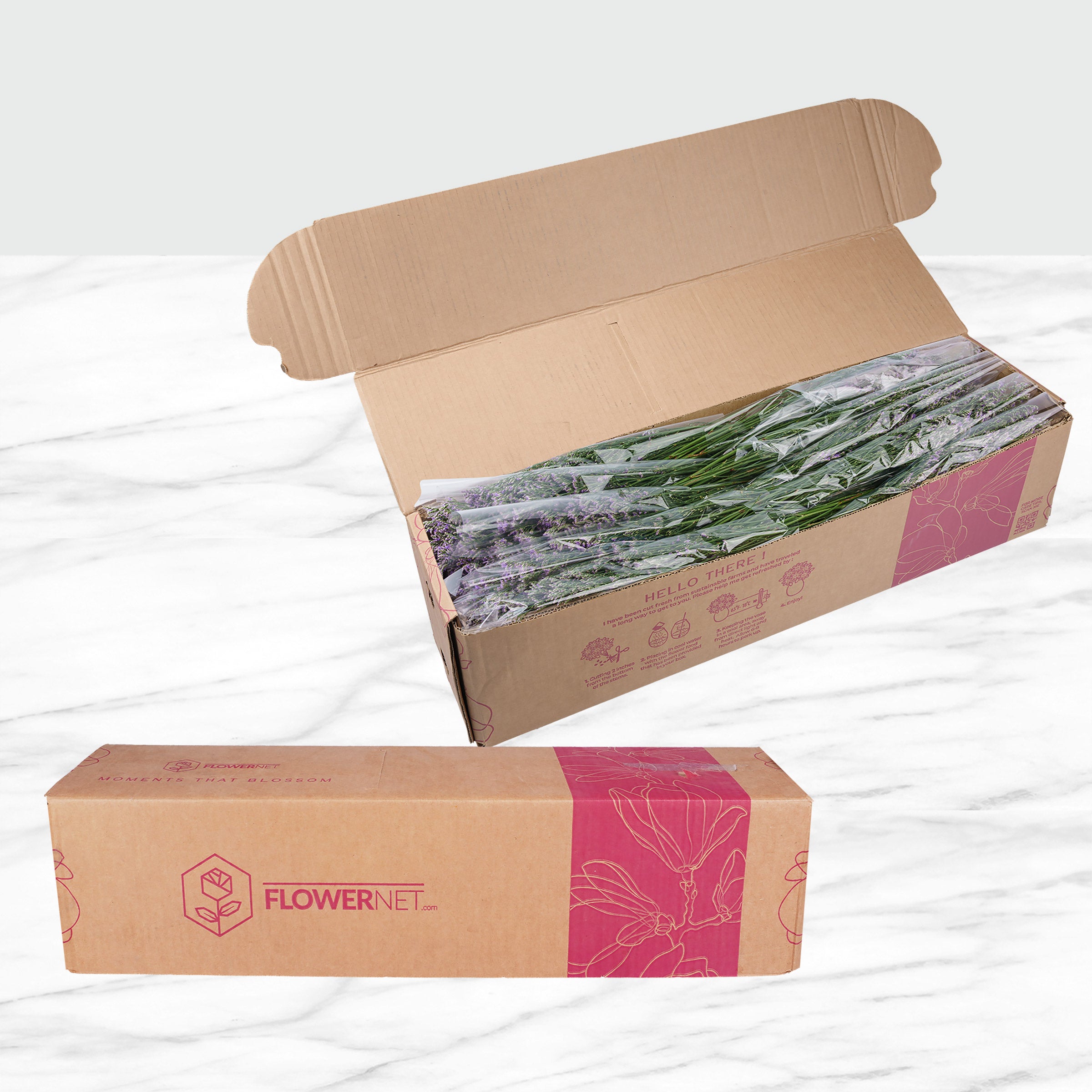 100-Stems Limonium