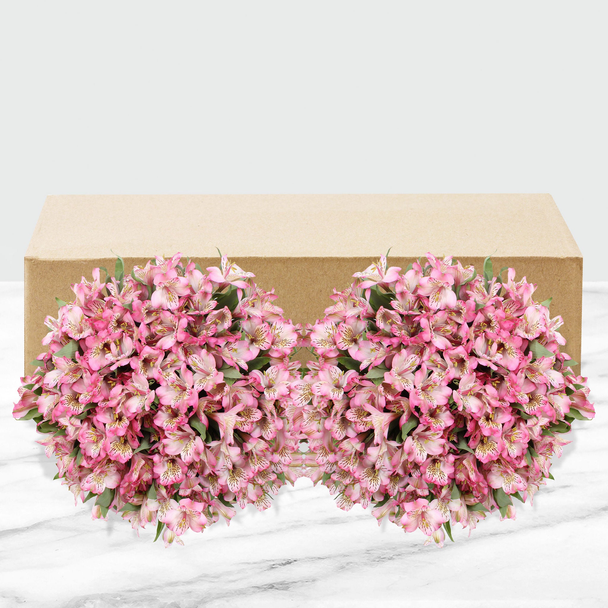 80-stem Alstroemeria