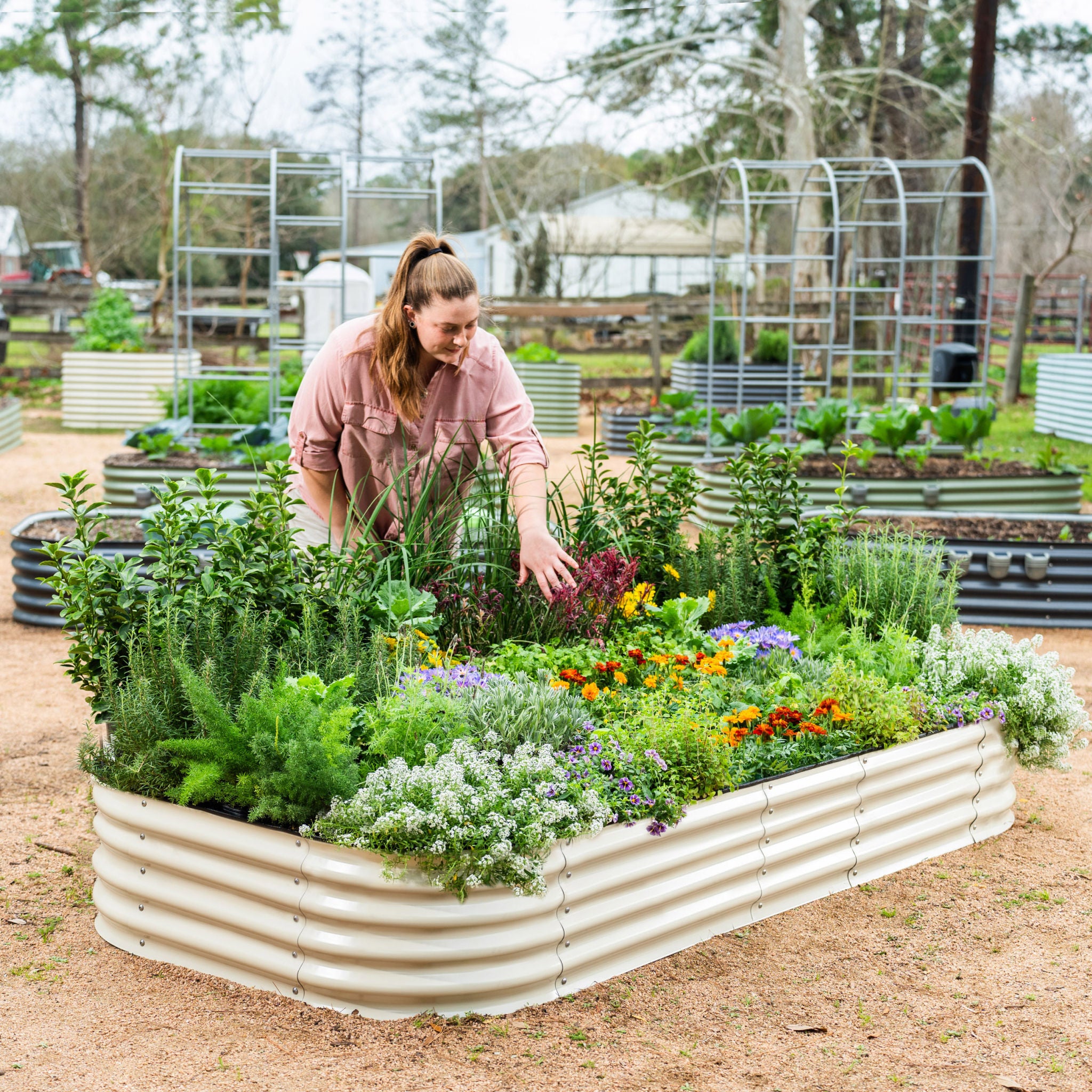 Vego Garden 14” Tall 10 in 1 Modular Metal Raised Garden Bed Kit