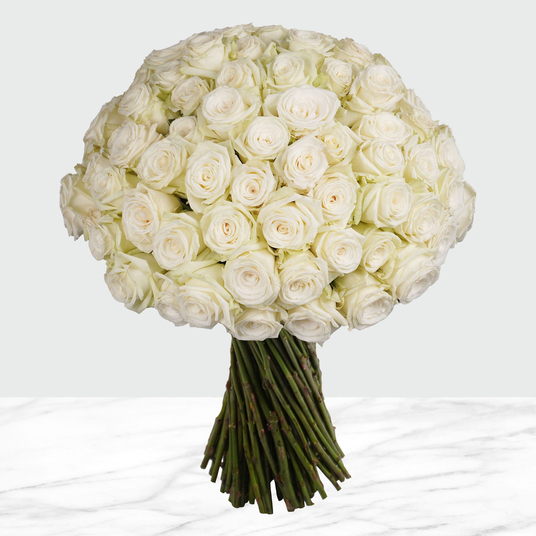 100-Stem Roses