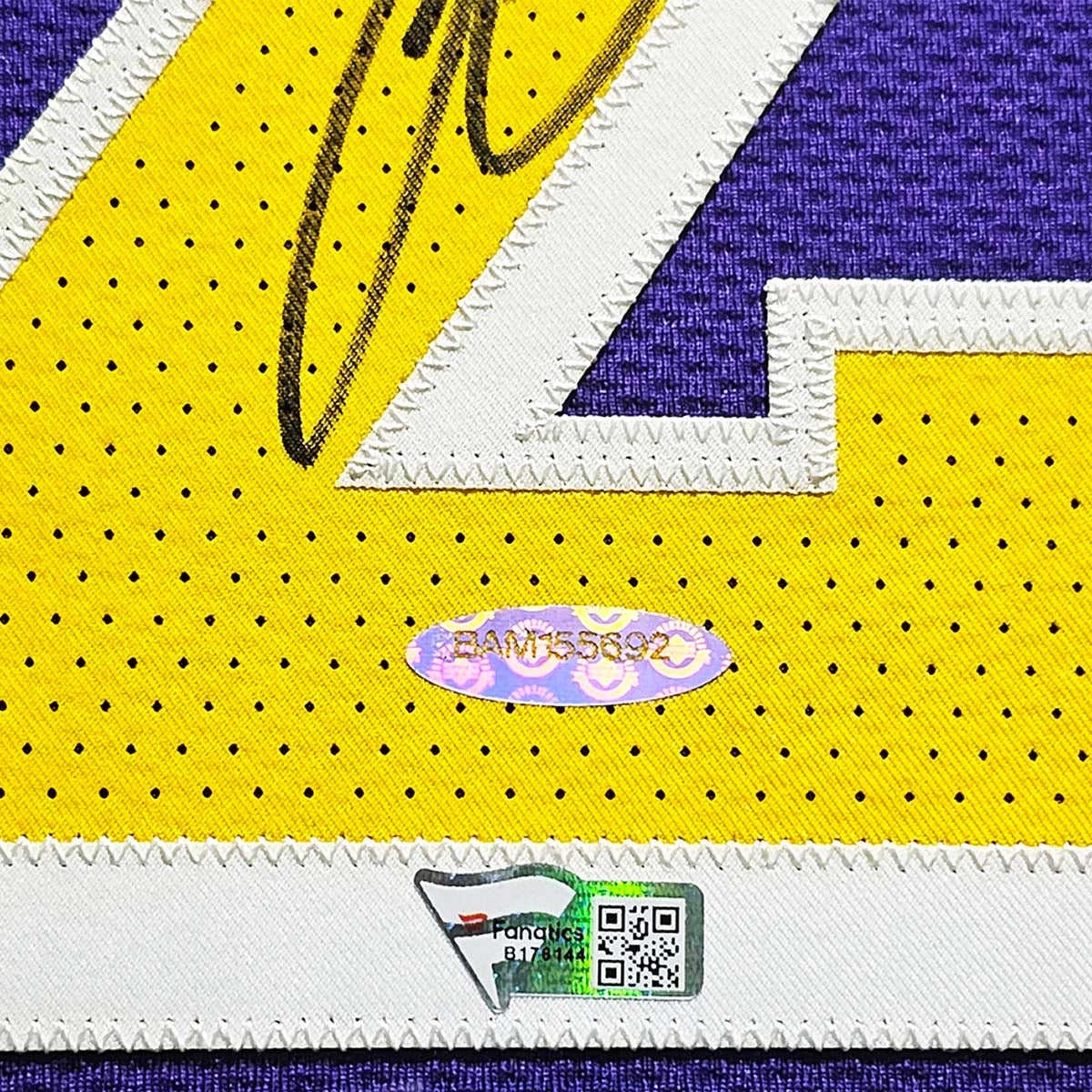 Los Angeles Lakers LeBron James Autographed Framed Purple & Yellow Nike Jersey - Fanatics & Upper Deck Authenticated