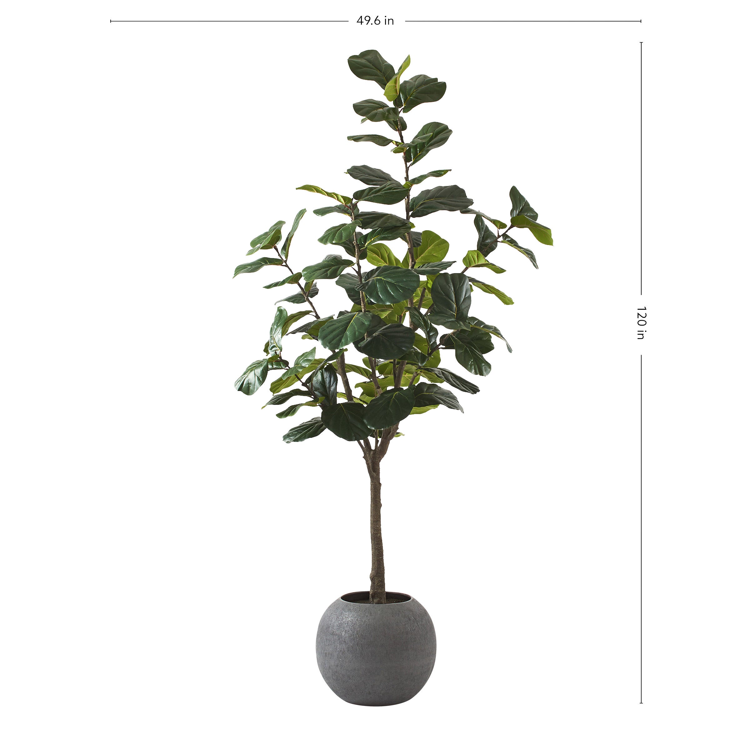 Faux 10’ Fiddle Leaf Fig Tree