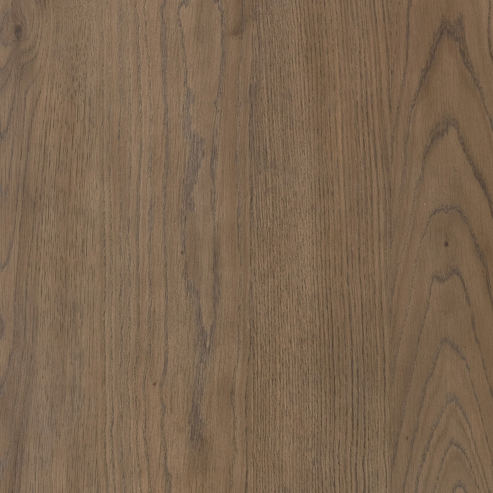 Jaxon 55" Coffee Table