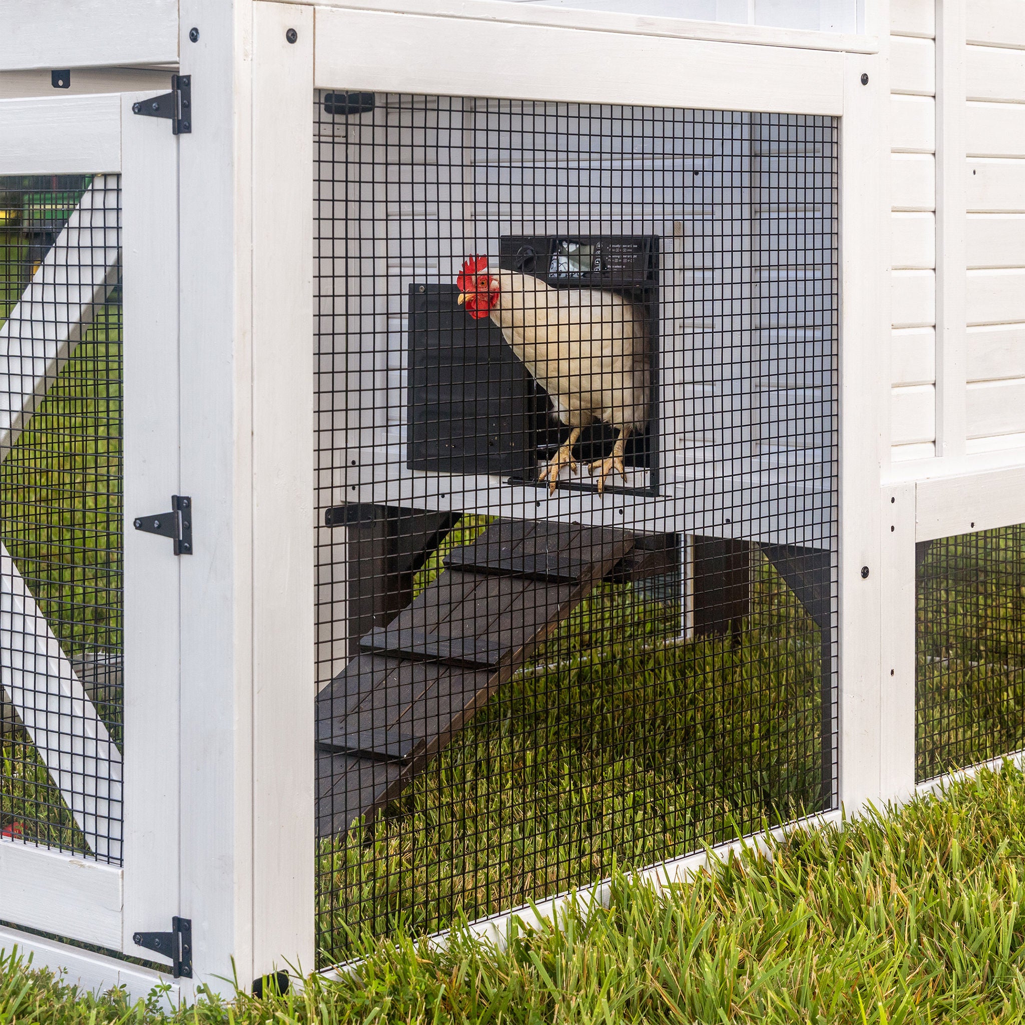 Backyard Discovery Sweetwater White Chicken Coop