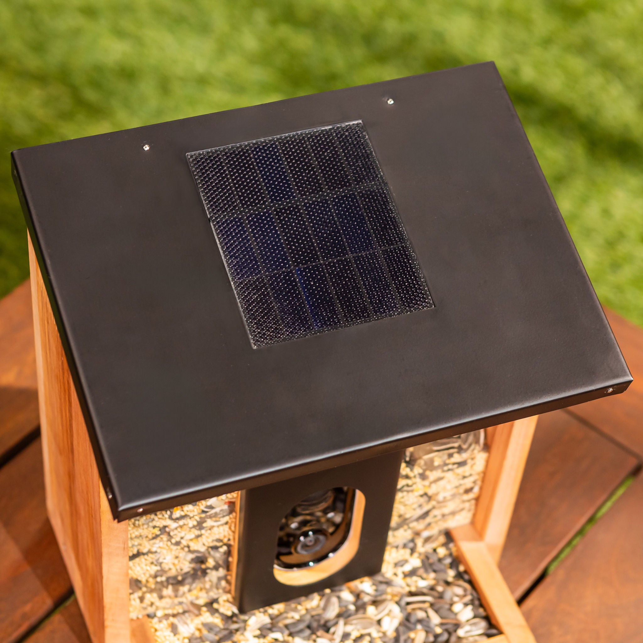 Solar Smart Bird Feeder