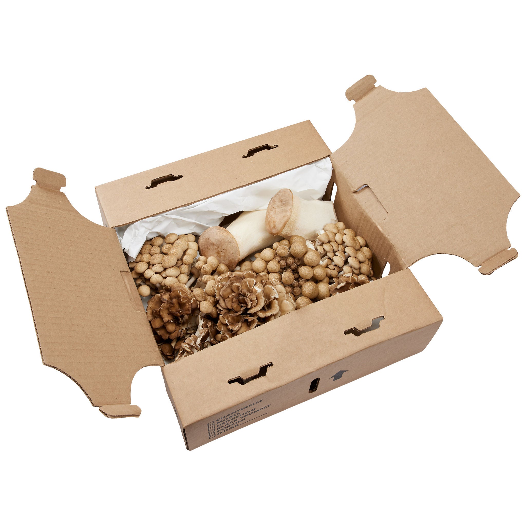 Northern Wild Chef's Blend Cultivated Mushrooms, King Oyster, Maitake, French Horn, 3 lbs or 5 lbs