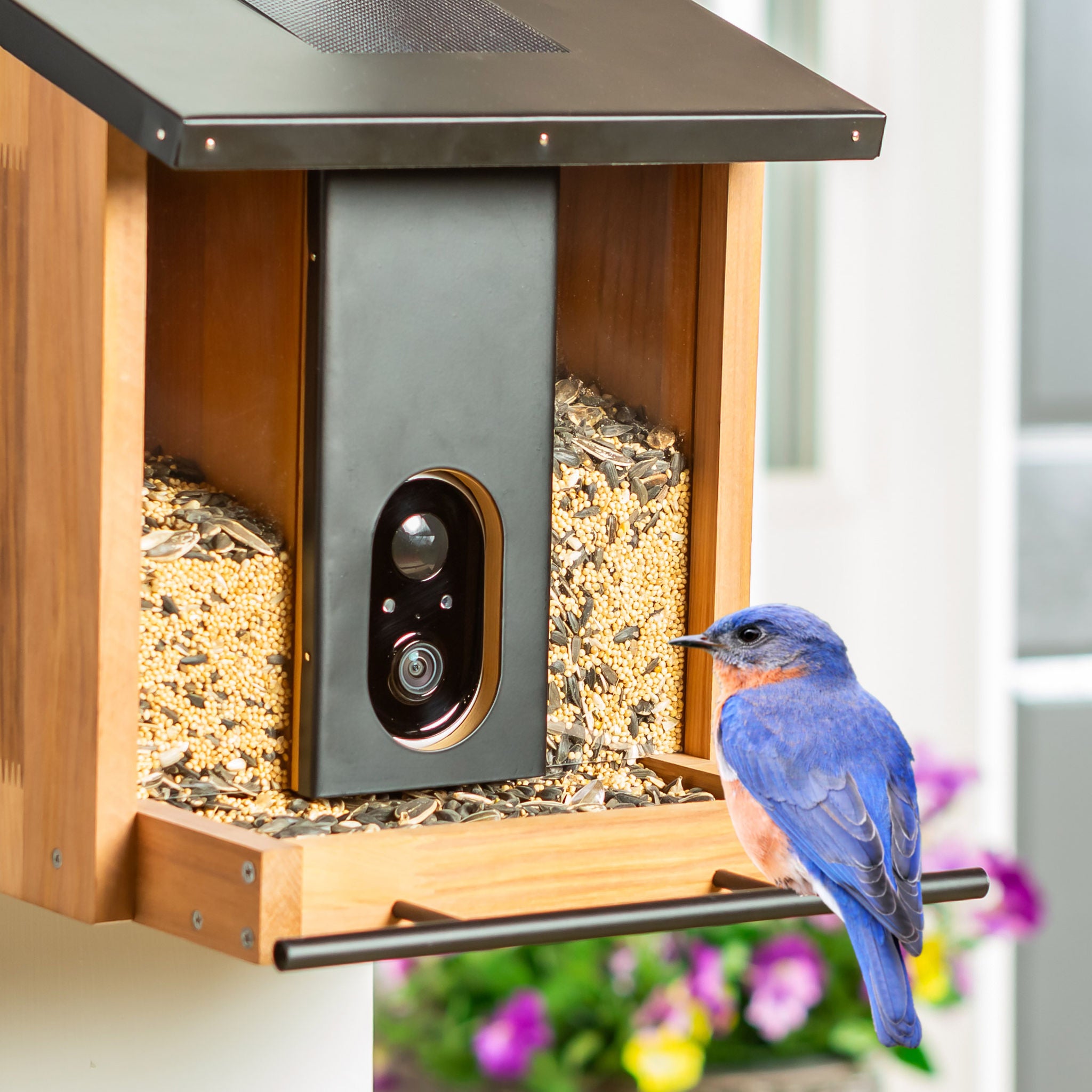Solar Smart Bird Feeder