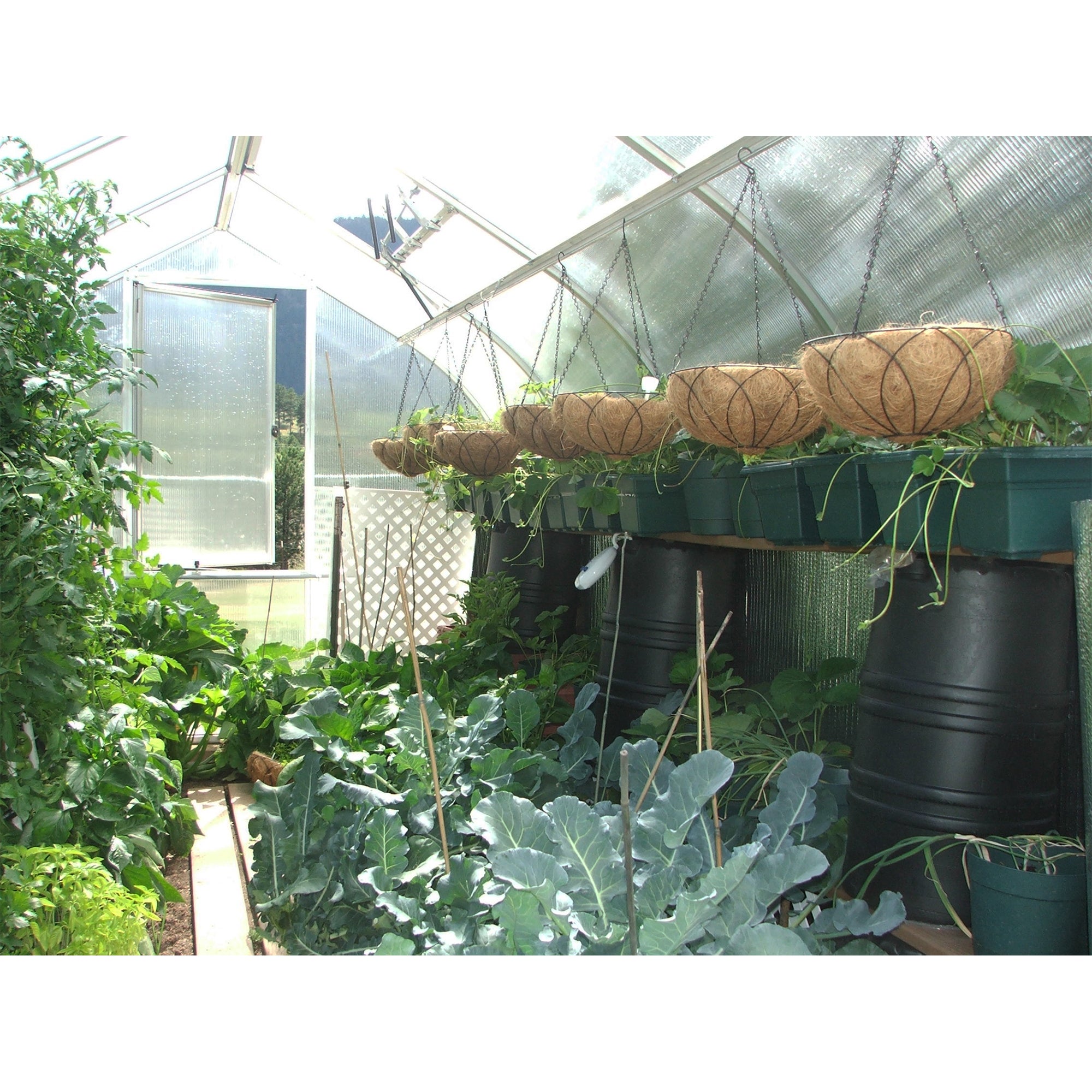 Exaco Riga Professional Greenhouse