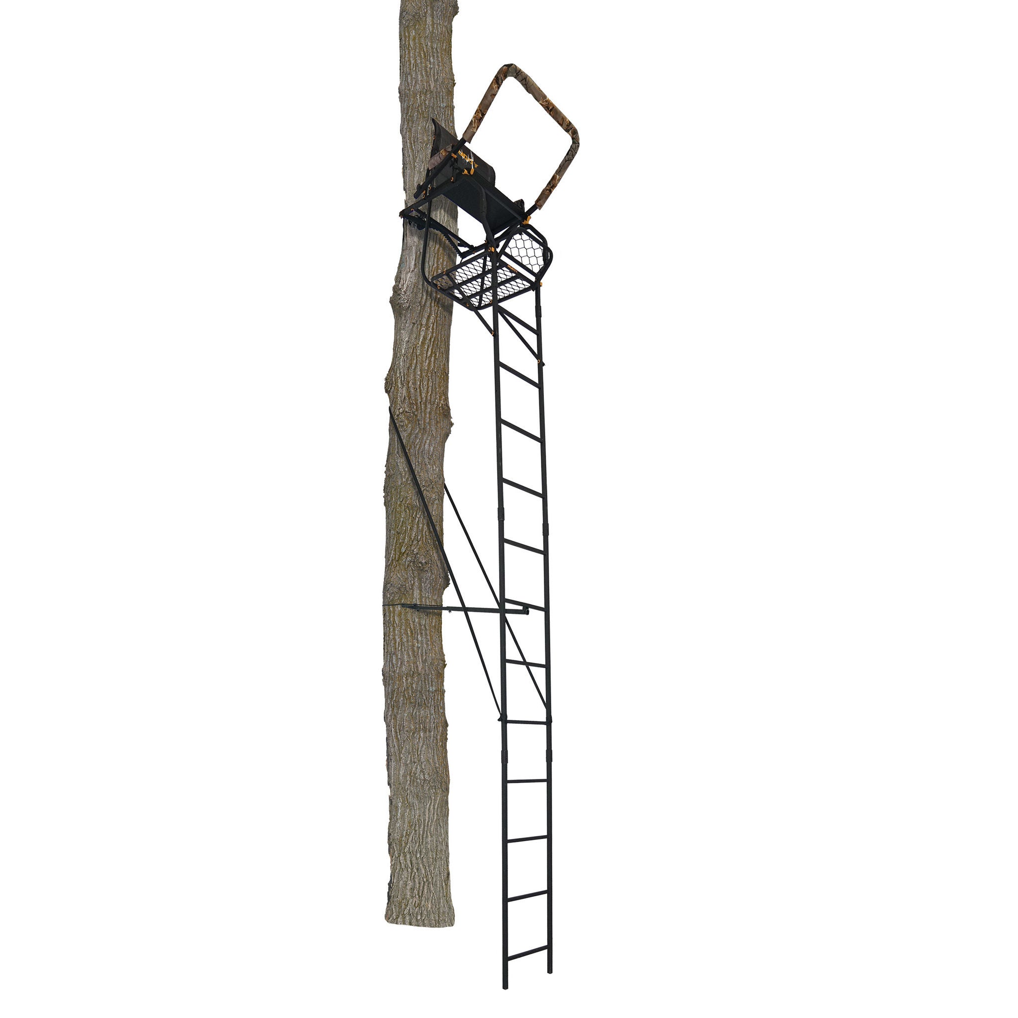 Muddy Huntsman Ladder Combo