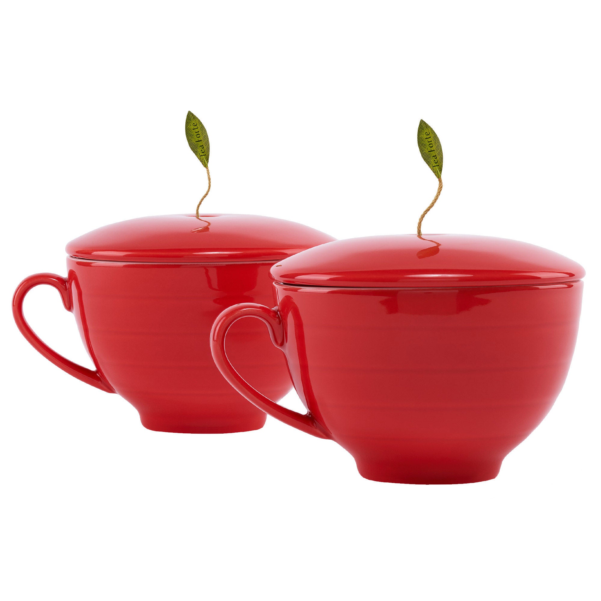 Tea Forte Warming Joy Tea Chest Package